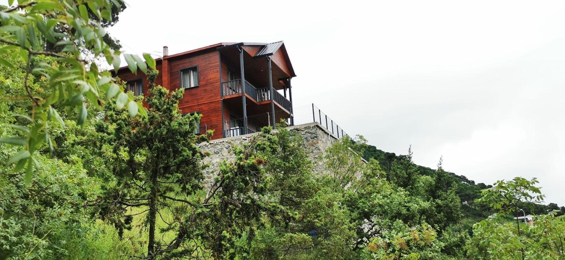 Kozalak Forest Mansion view 2