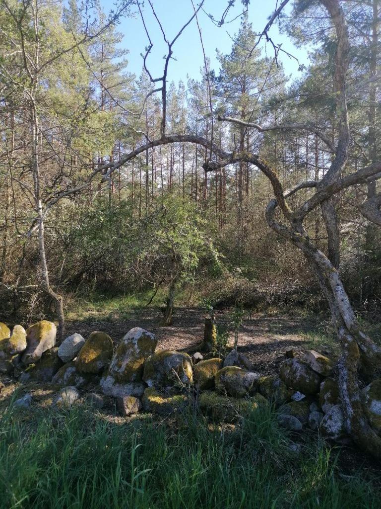 Photo 29