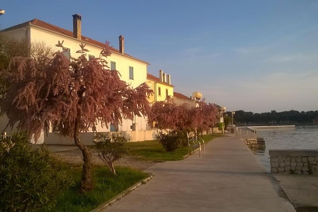 Photo 33