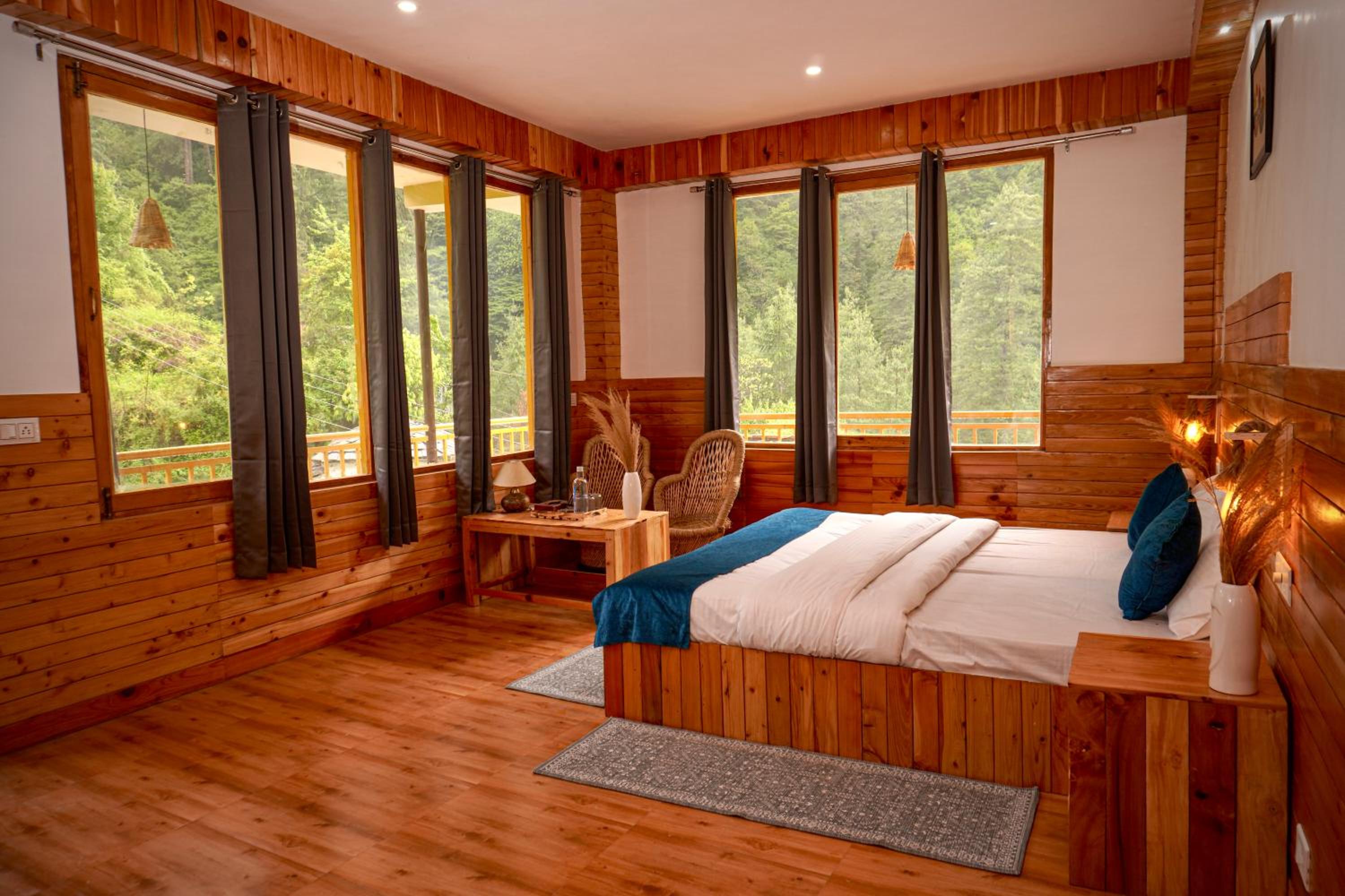 Odin Hostel Jibhi view 4