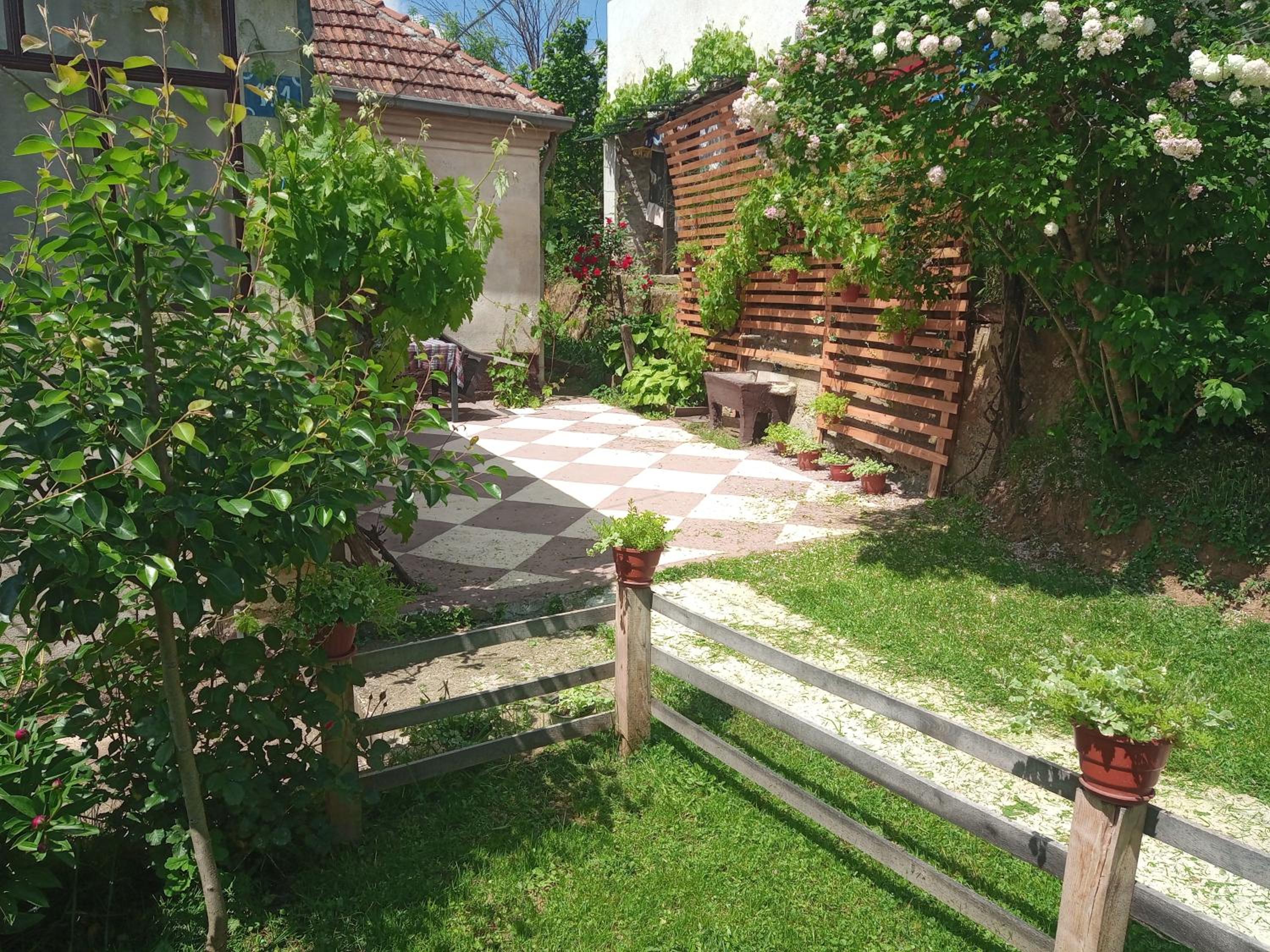 Photo 6