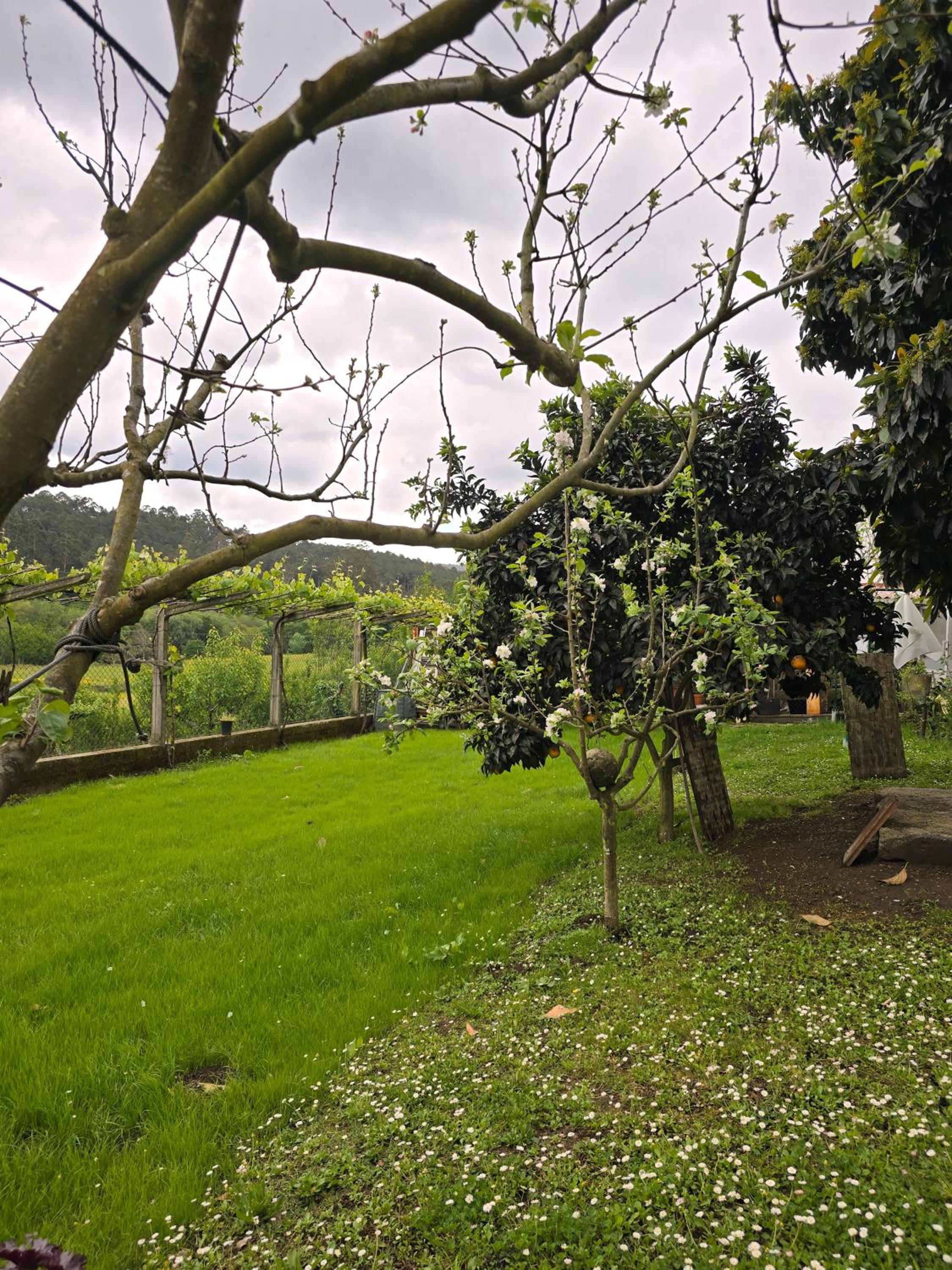 Casa de Chica Ecoturismo