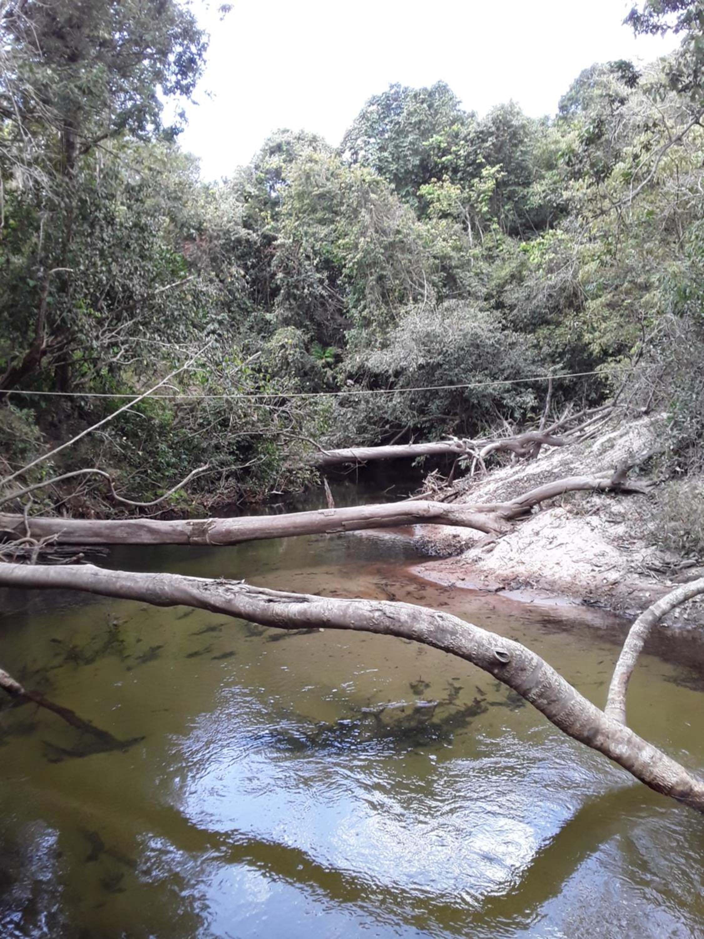 Pousada Cabanas