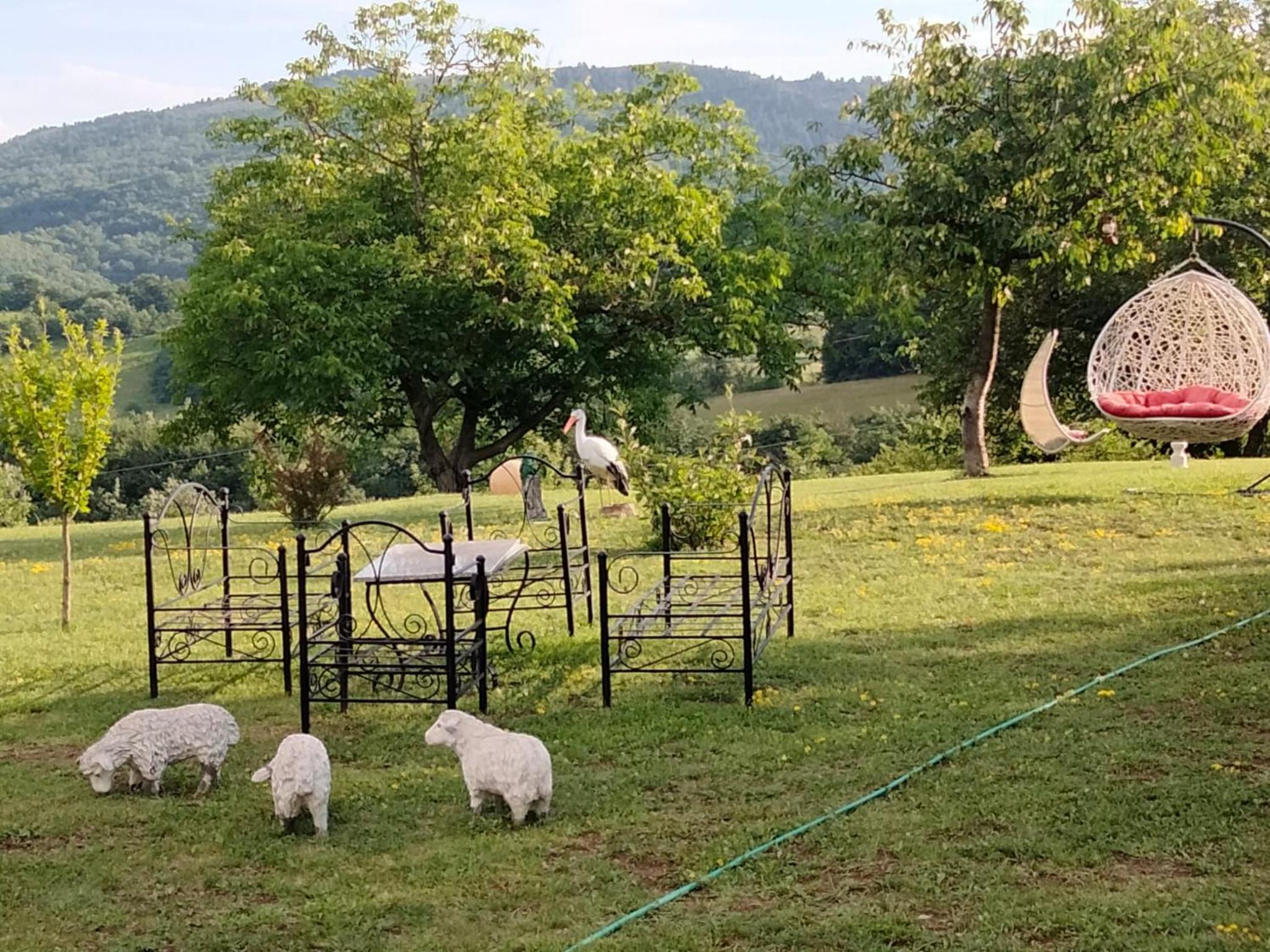 Dušanovac Panorama House - veliko dvoriste, 2 rostilja, pogled na Rasku