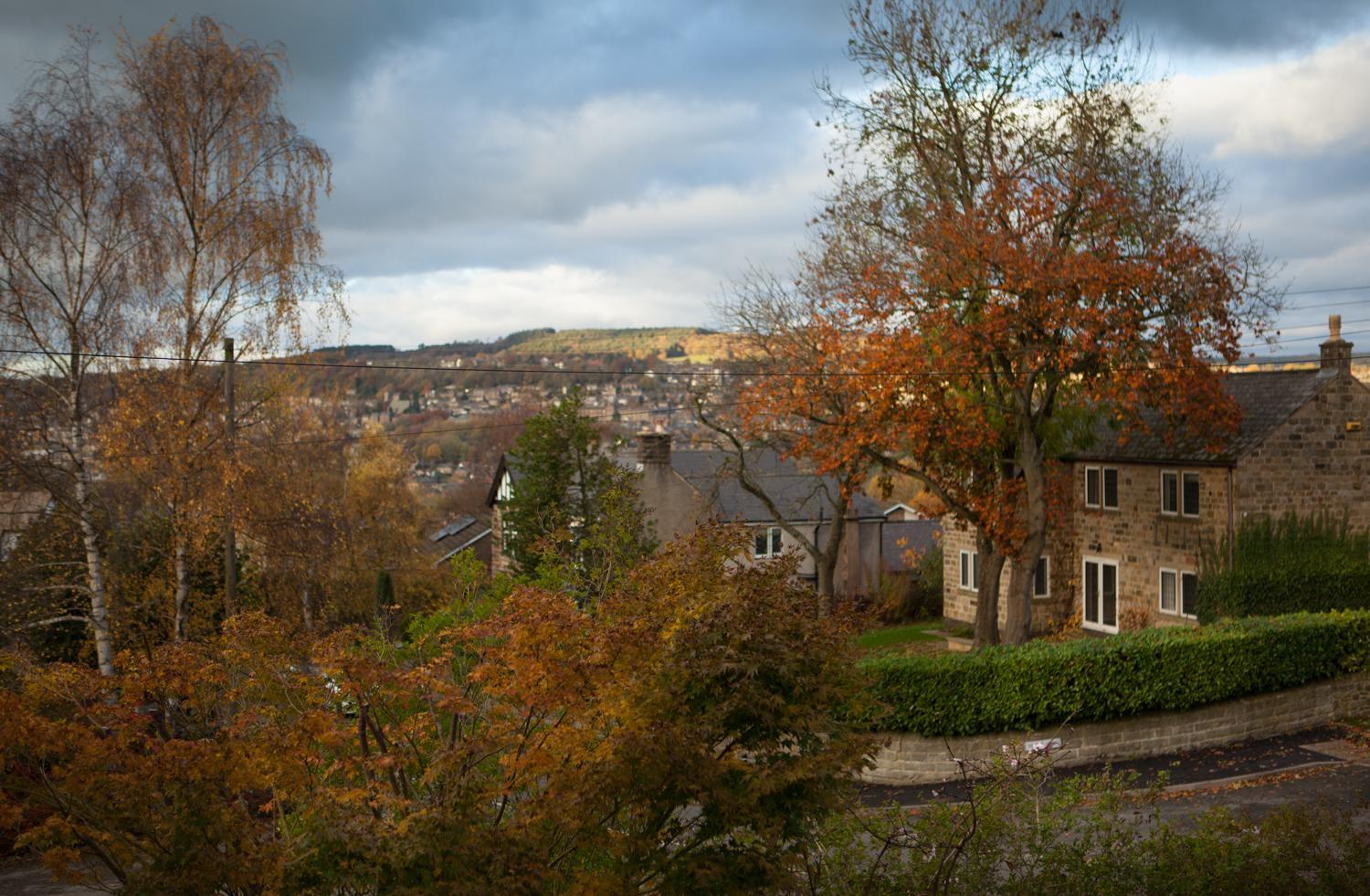Charming Hedgehog Cottage with EV charger view 4