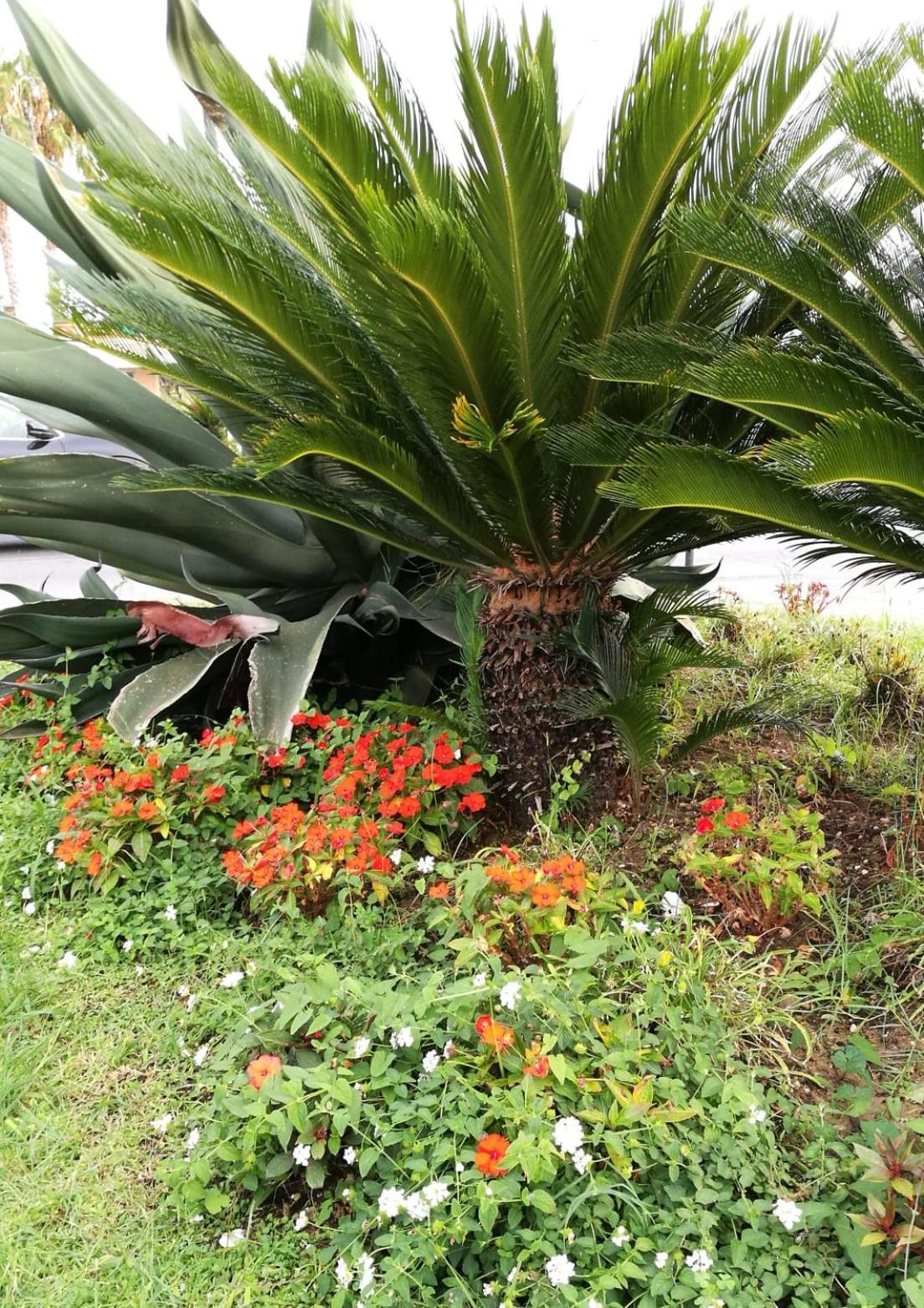 Casa Luce, photo 25