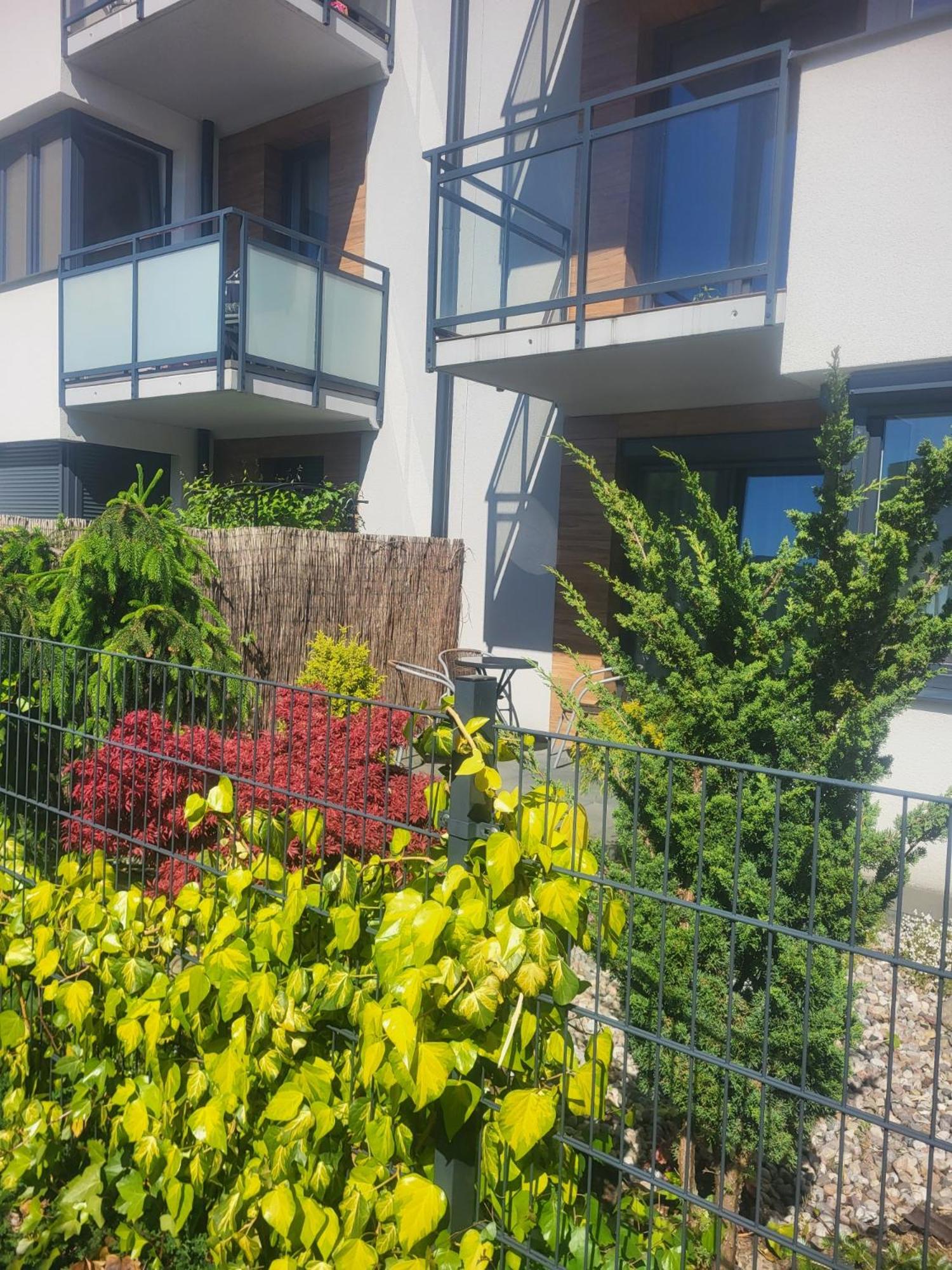 Apartamenty Olimpijska, photo 8