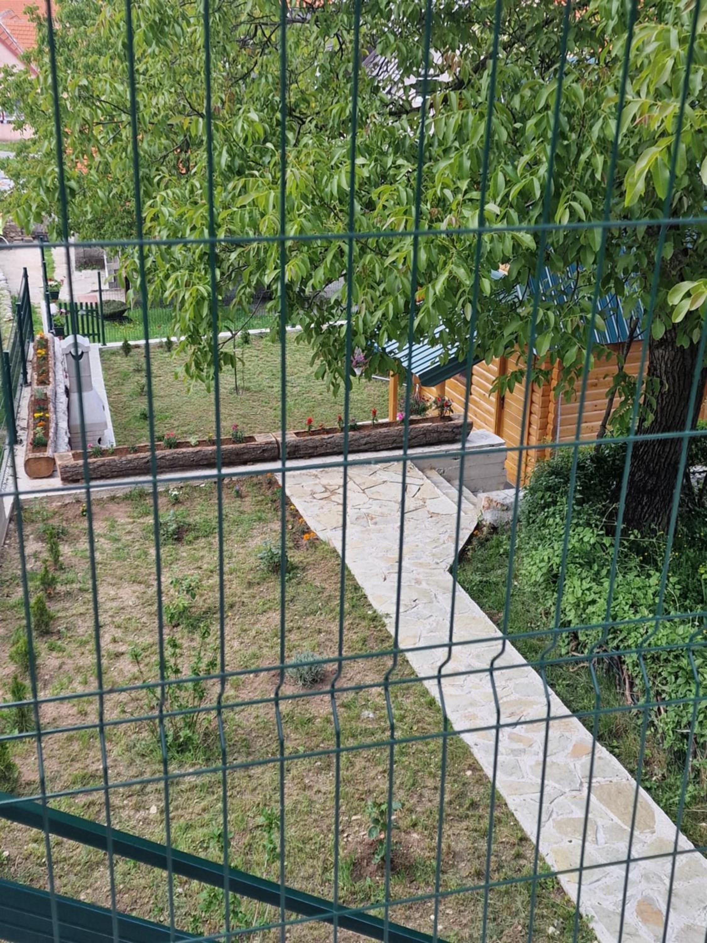 Photo 52