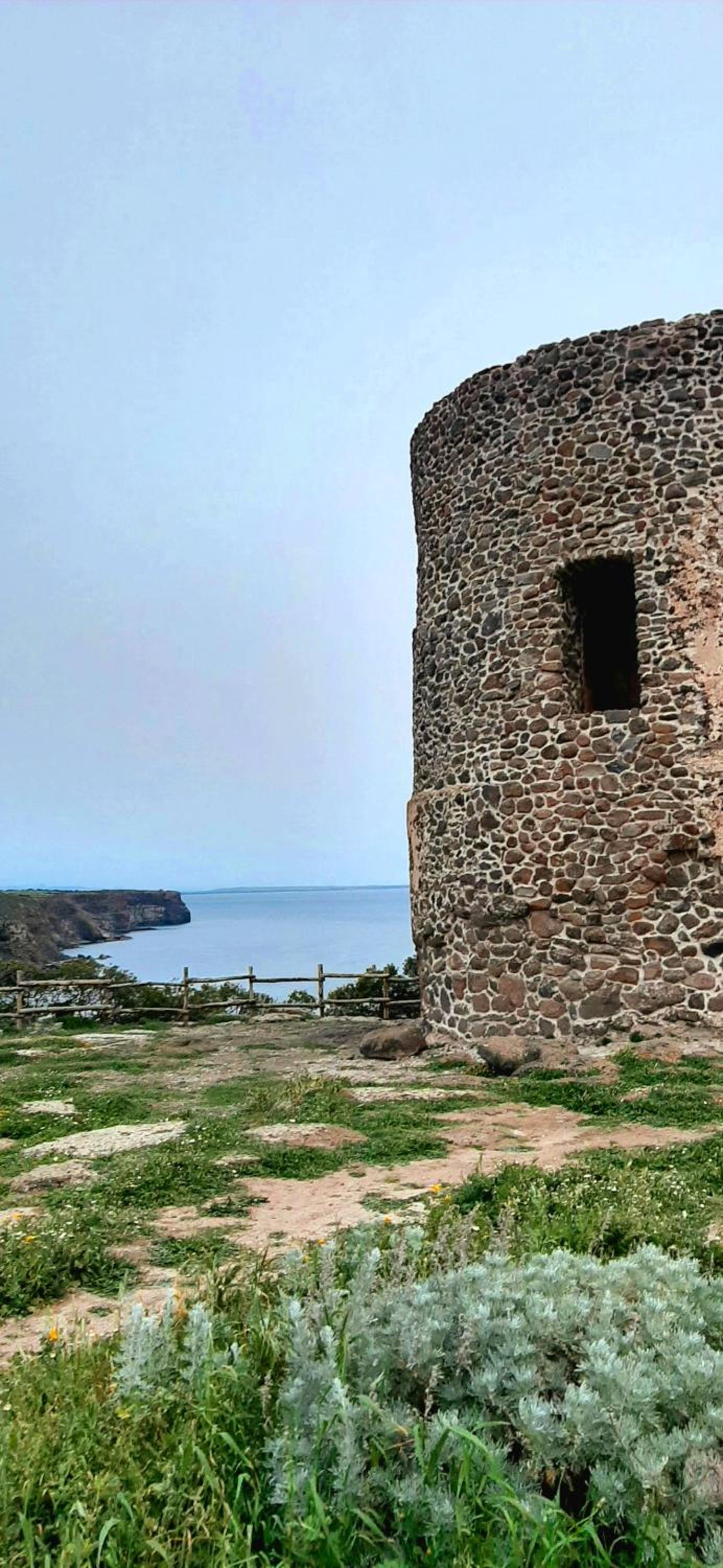 Profumo di Calicanto