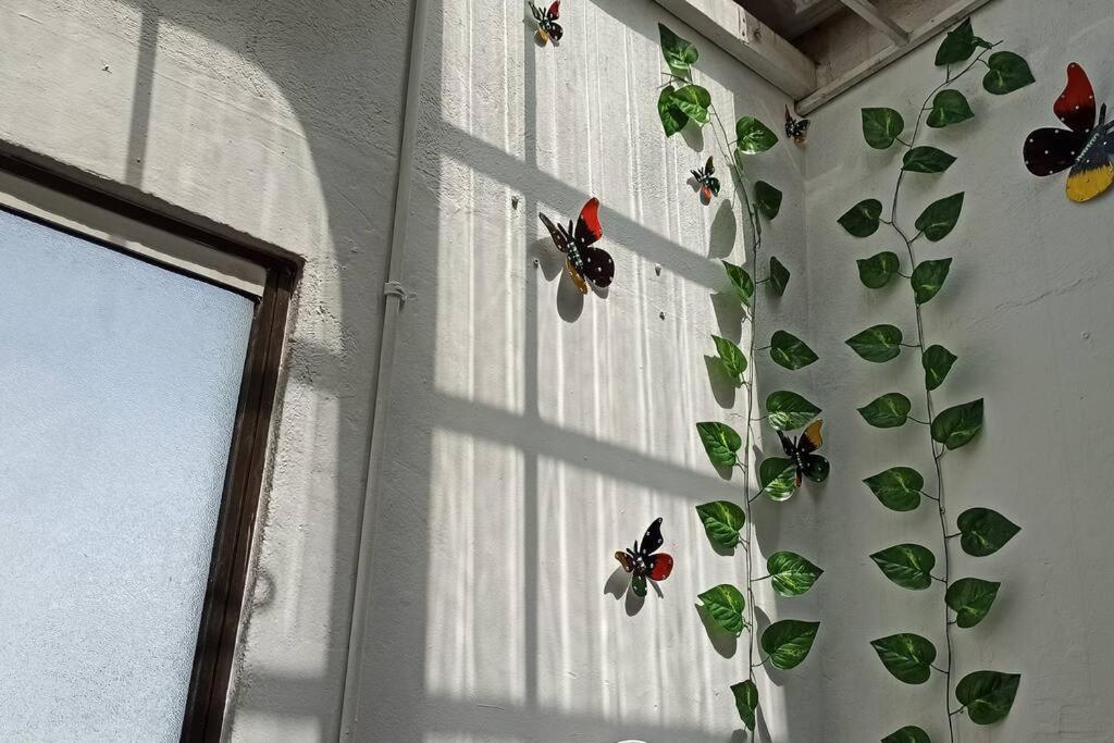 Apartamento completo cerca a embajada 3