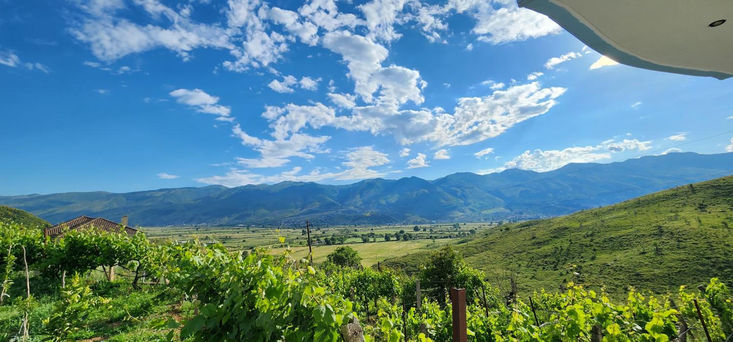 Vila Antigonea photo 3