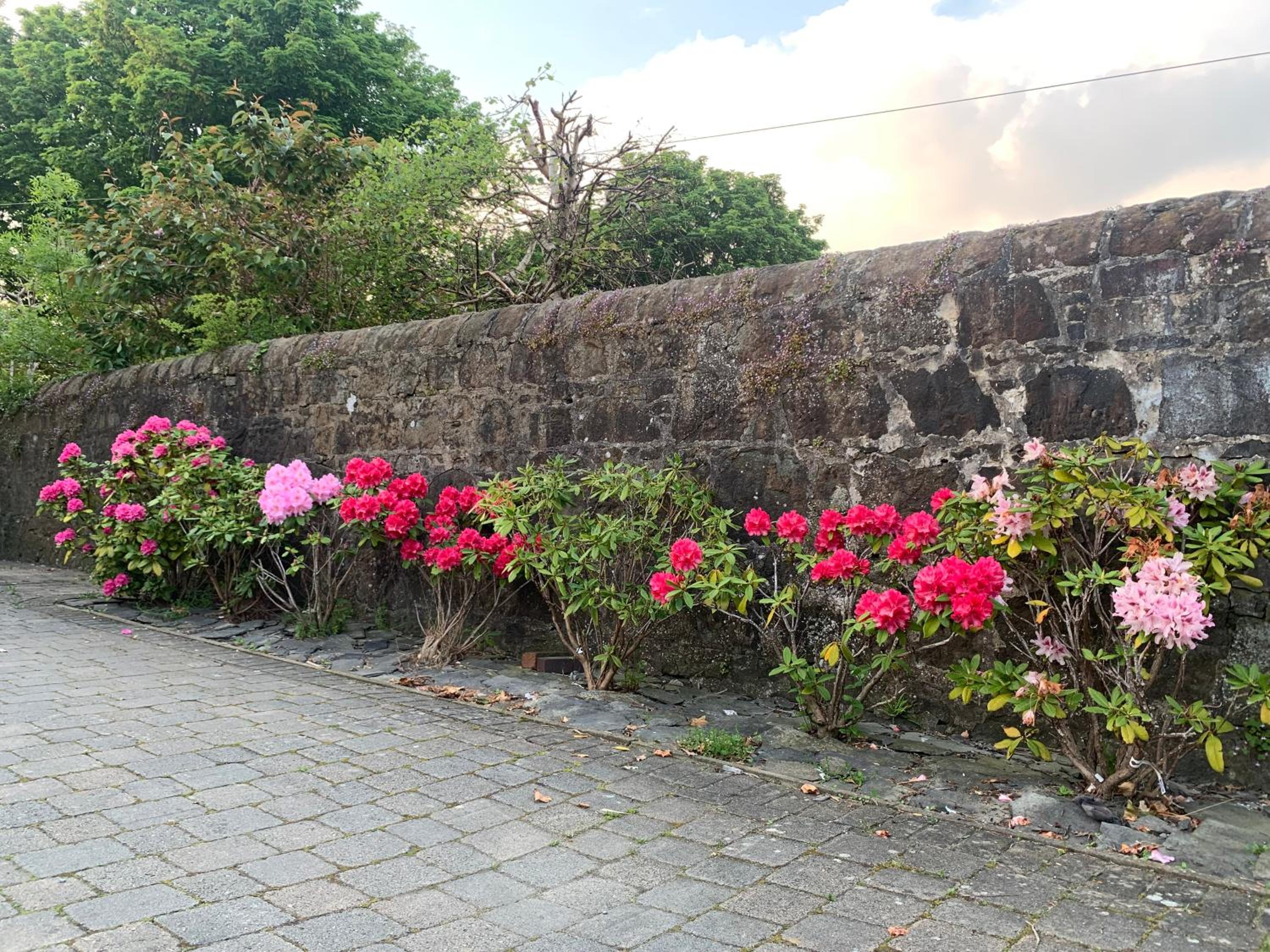 Photo 16