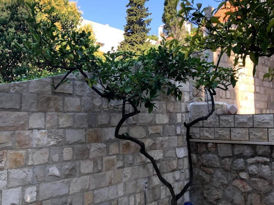 Beachfront Dubrovnik Villa