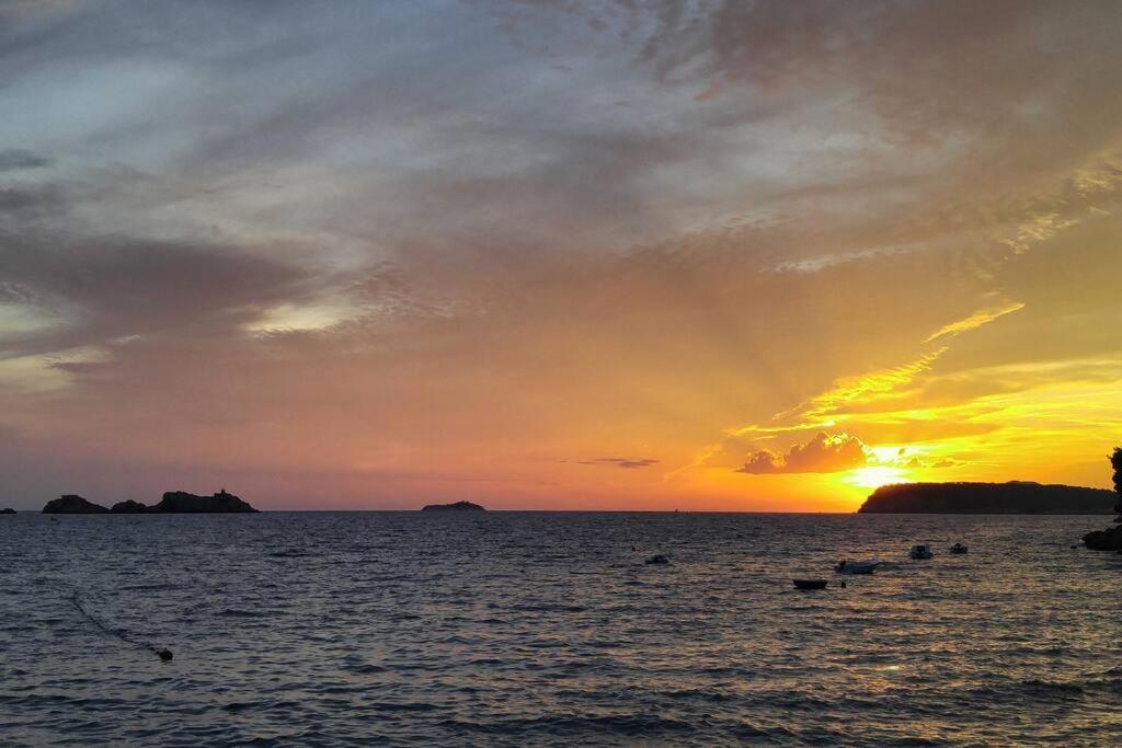 Beachfront Dubrovnik Villa