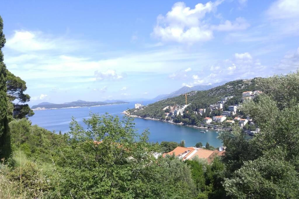 Beachfront Dubrovnik Villa