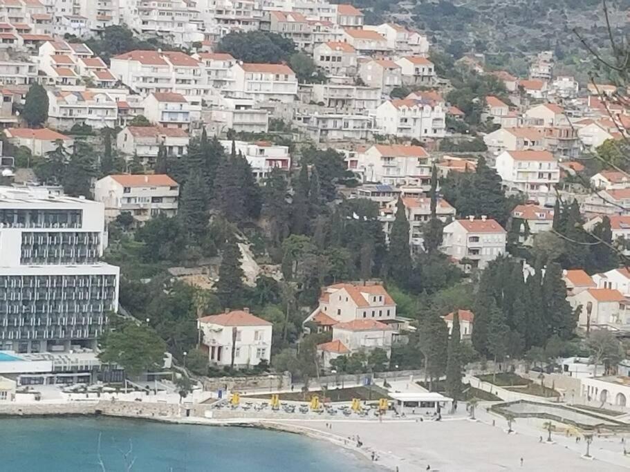 Beachfront Dubrovnik Villa