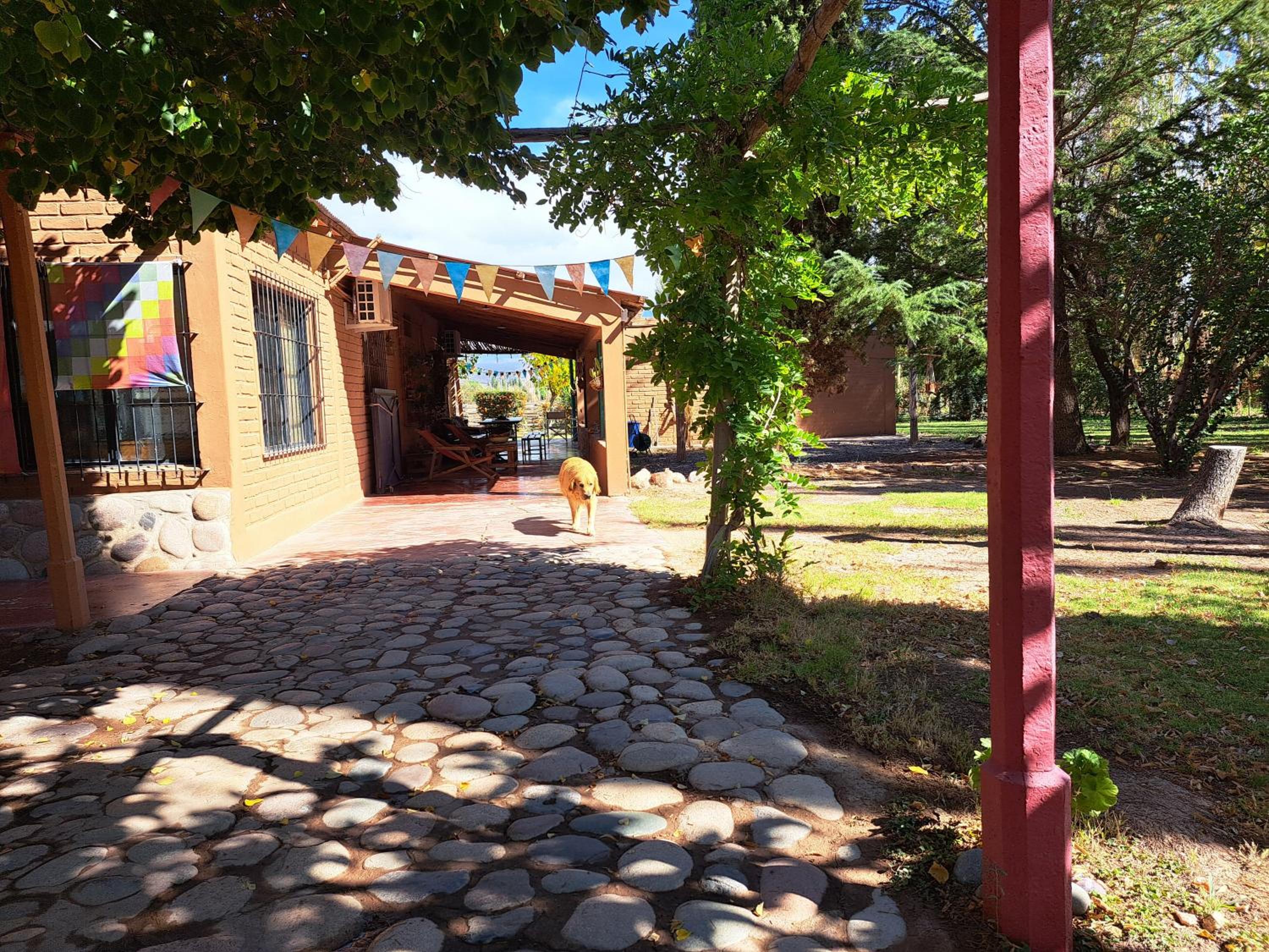 Aire de Barreal Hostel Andino