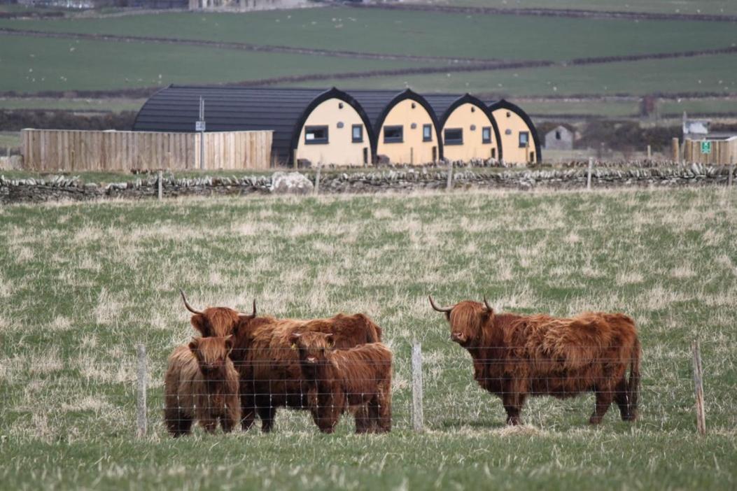 Glengolly Getaways