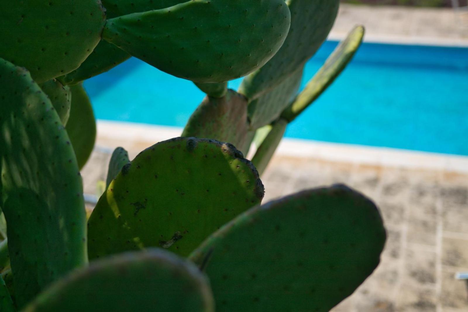 Masseria Trullo Sovrano Exclusive B&B