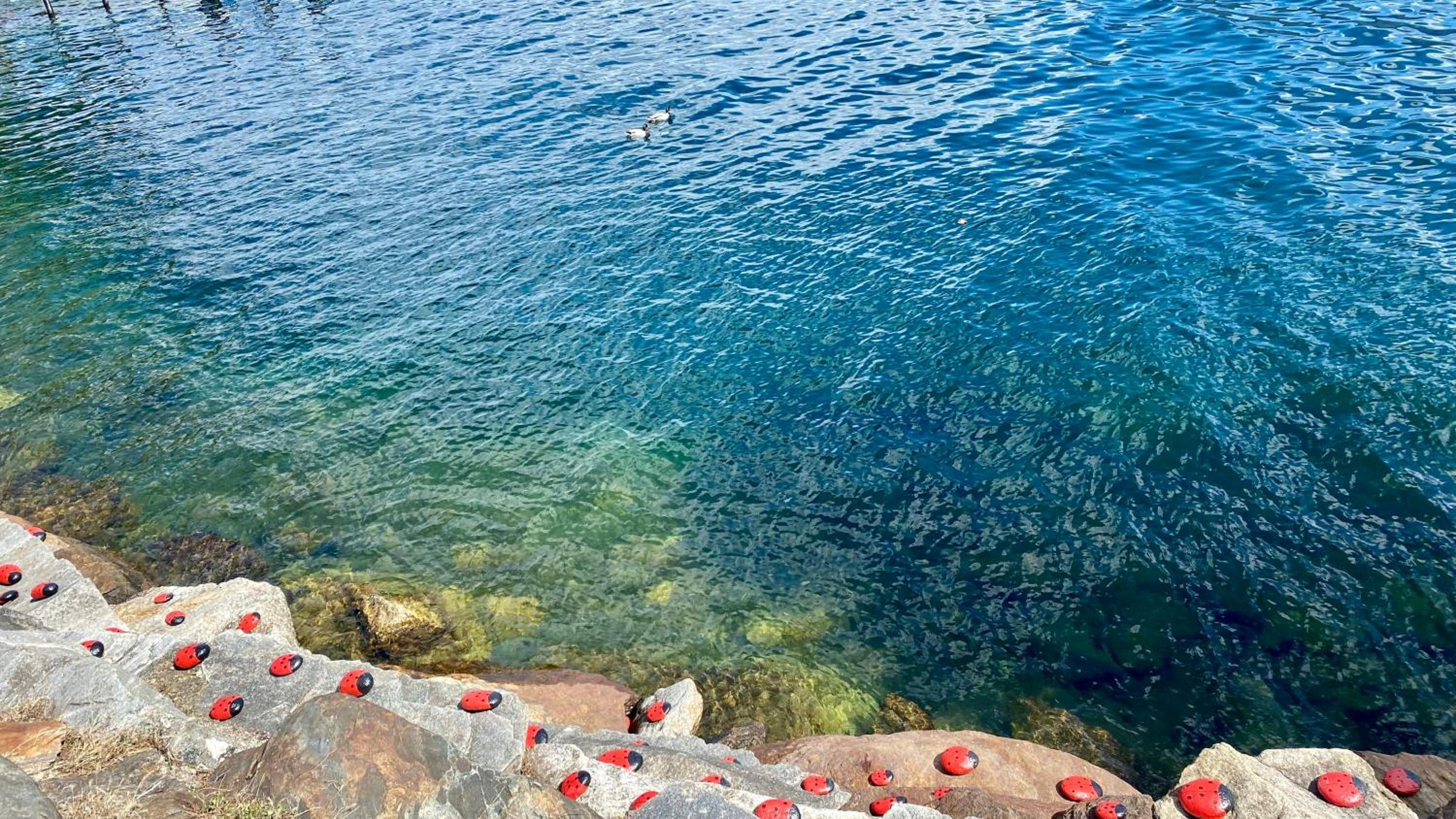 Beautiful small apartment with Lago Maggiore view