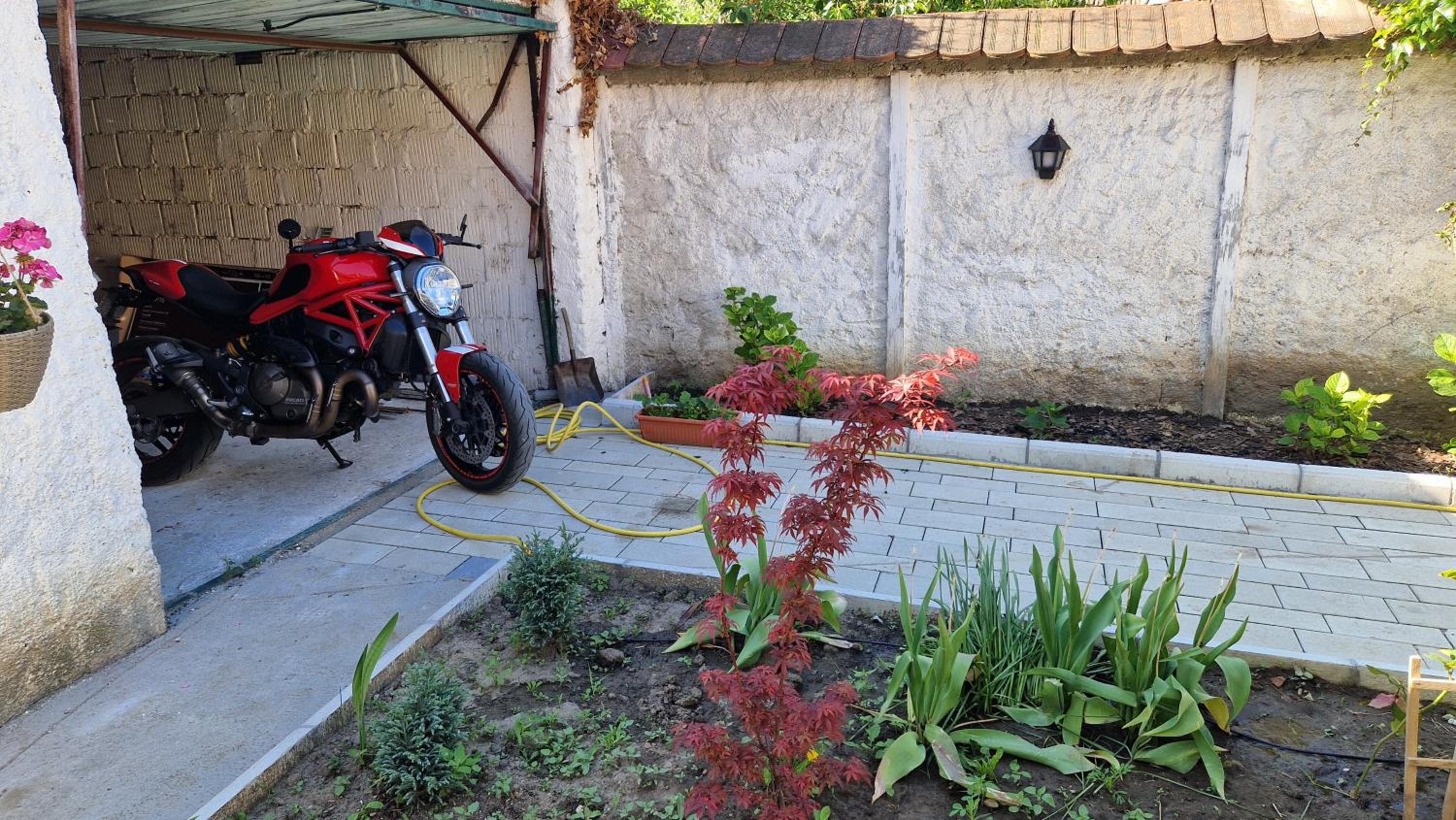 Photo 6