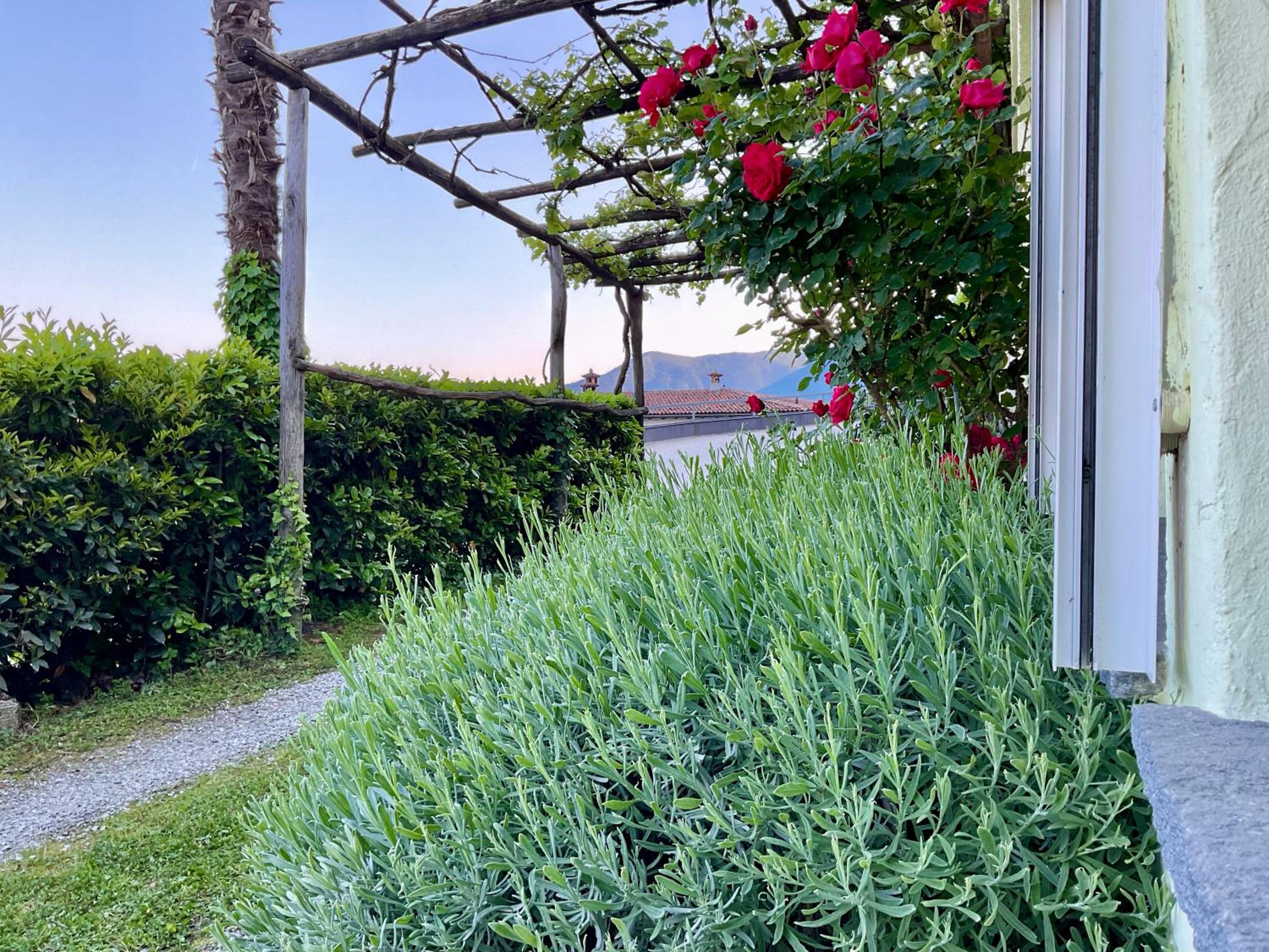 Beautiful small apartment with Lago Maggiore view