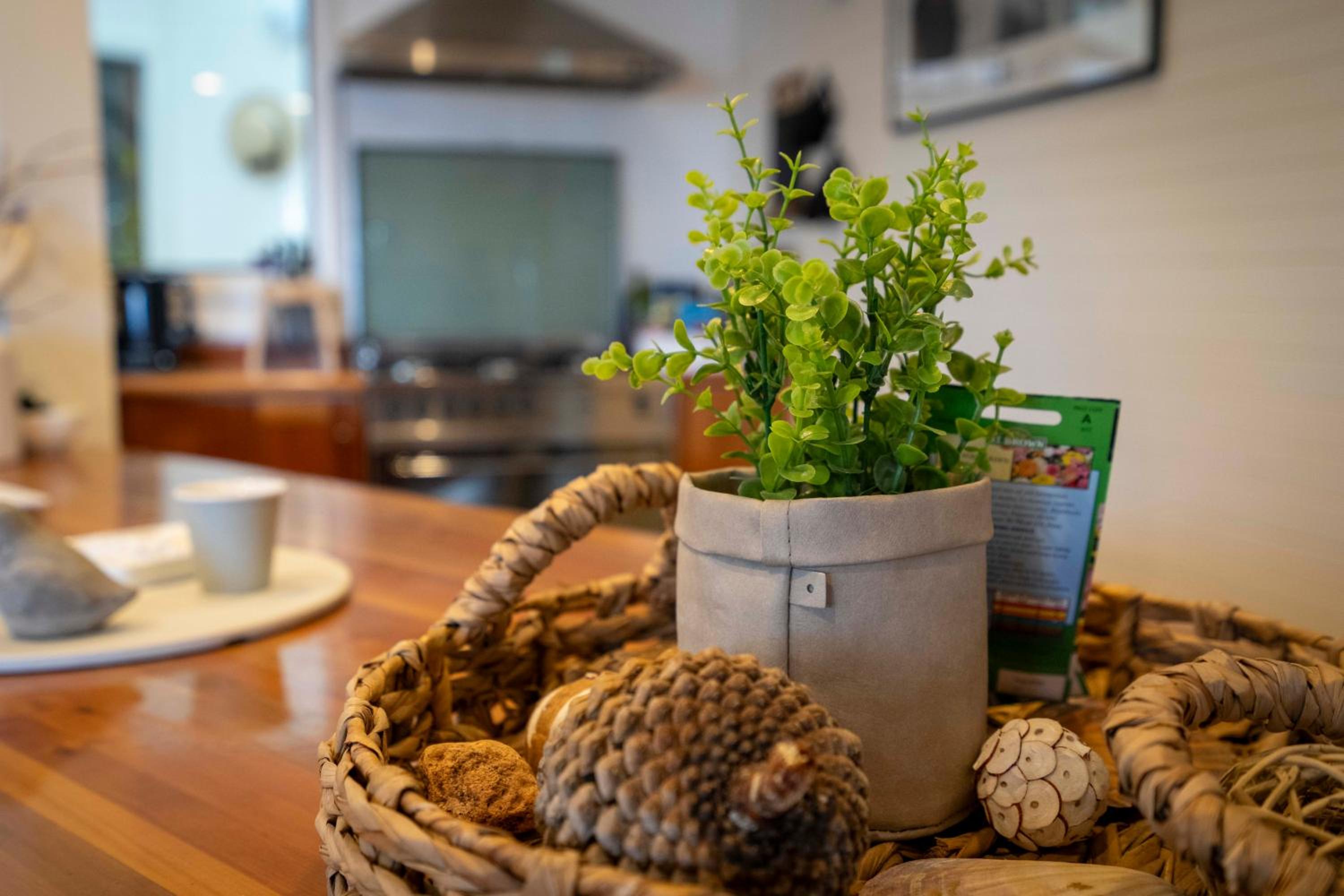 Blissful Birchs Bay - Gorgeous 3 Bedroom House