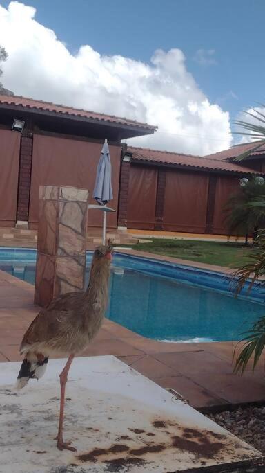 Alugo no Ninho Verde II - Eco Residence