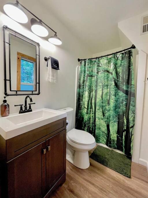 Romantic Cabin, Hot Tub, Lake Access, OutdoorLiving! - Property Image 11
