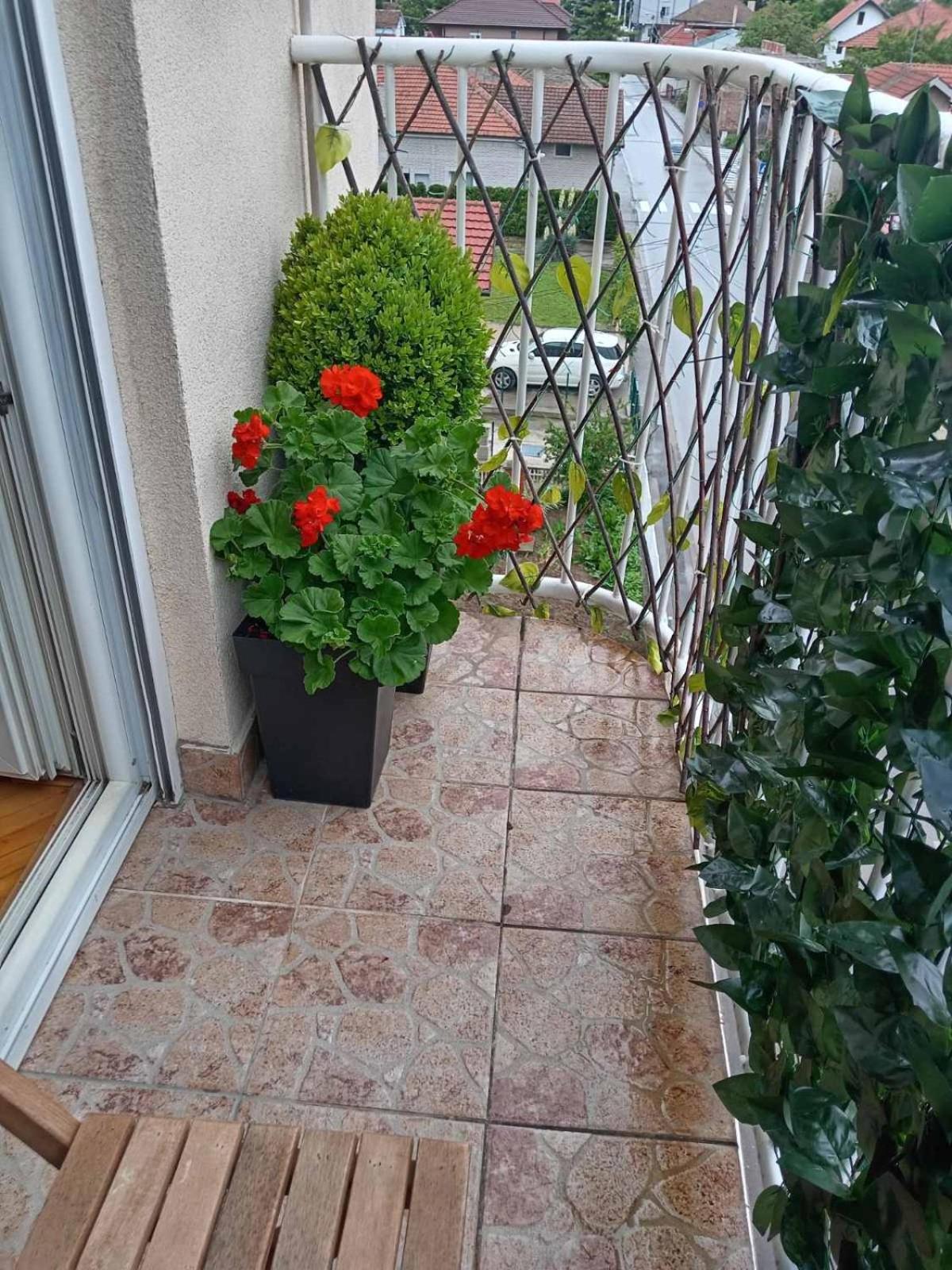 Apartman Centar