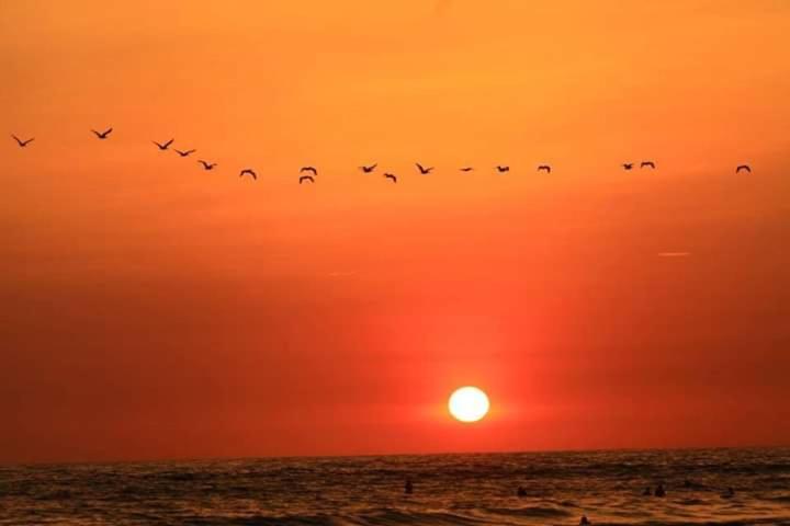 Natural Parque Ecológico