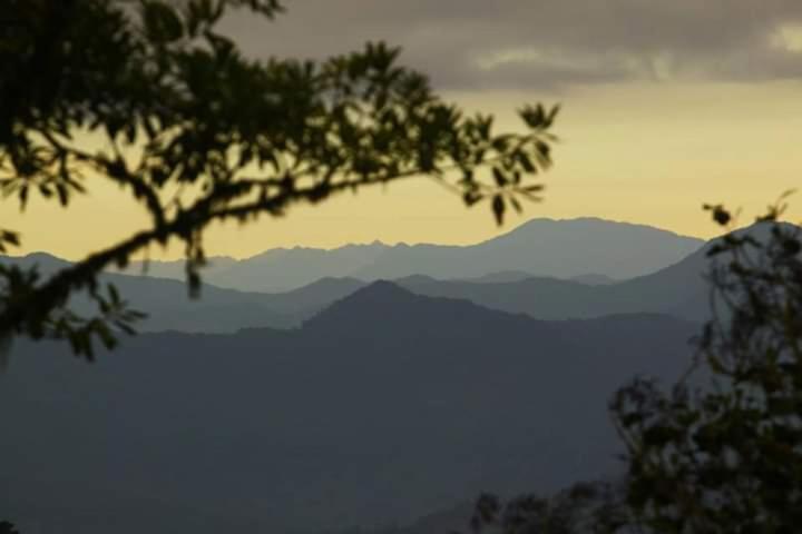 Natural Parque Ecológico