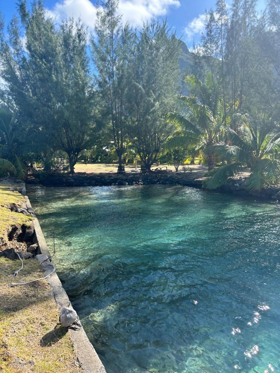 Bora Bora bungalow view 2