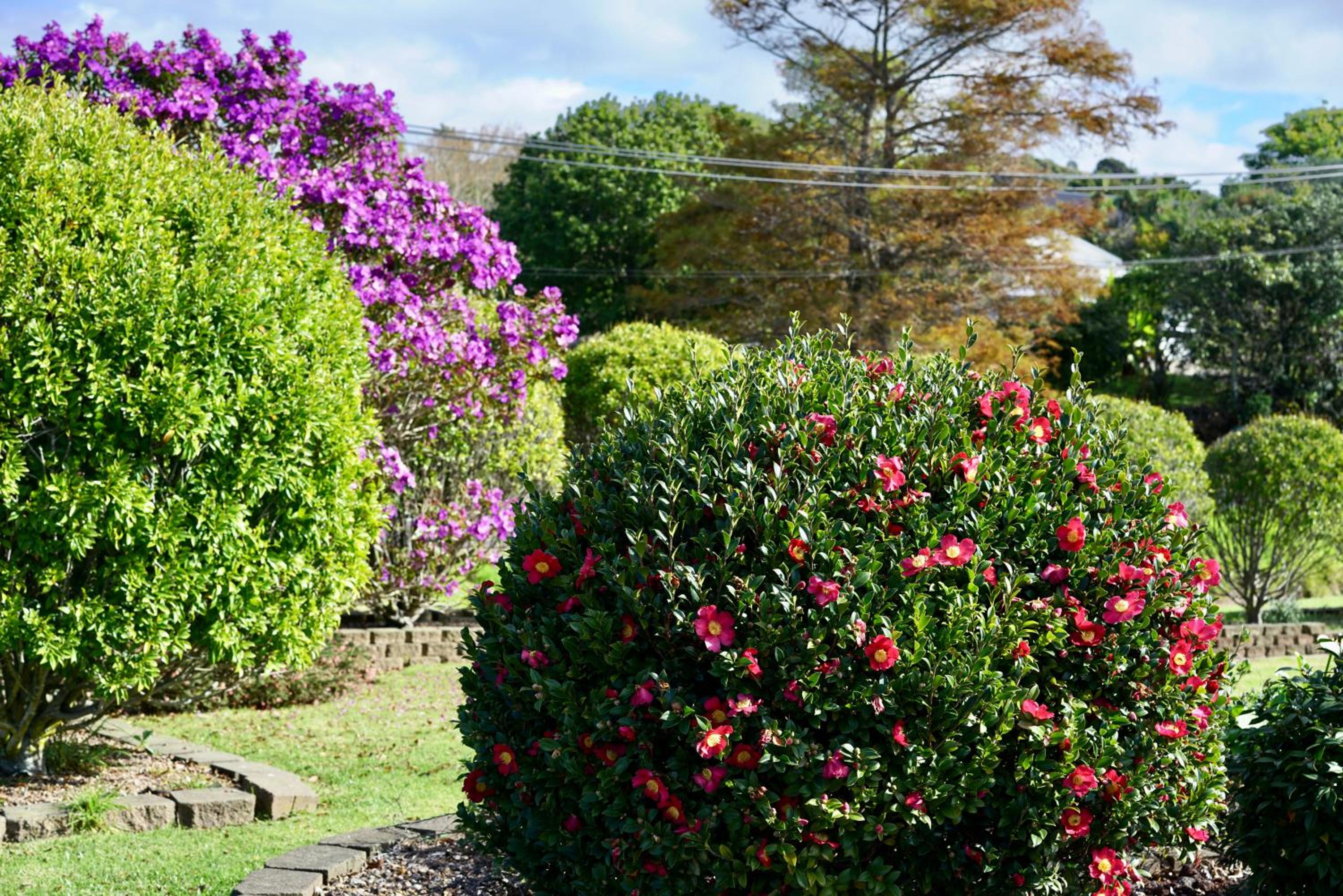 Oneroa Tui Garden - Be My Guest Waiheke
