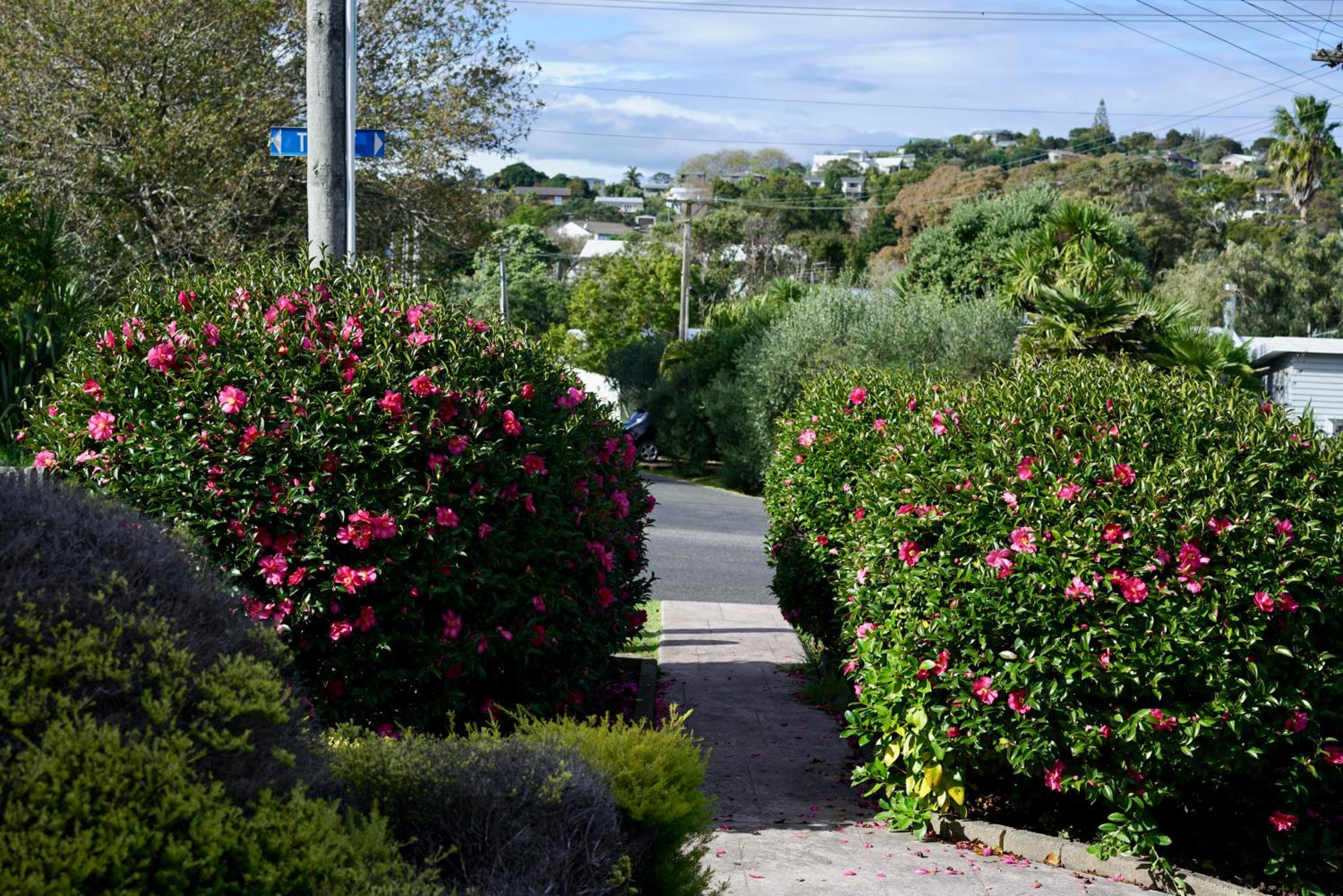 Oneroa Tui Garden - Be My Guest Waiheke