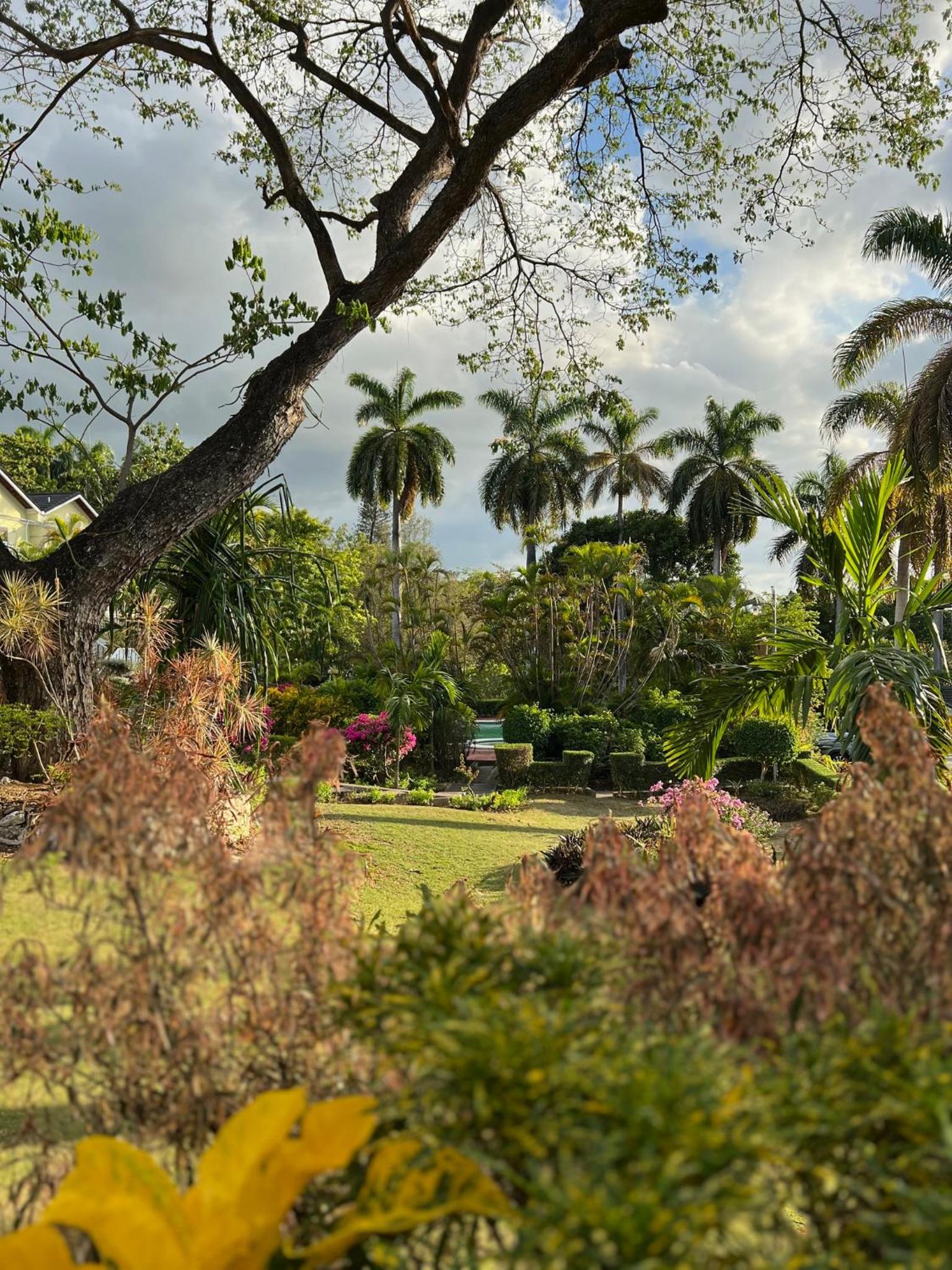 Montego Bay Beach House view 4