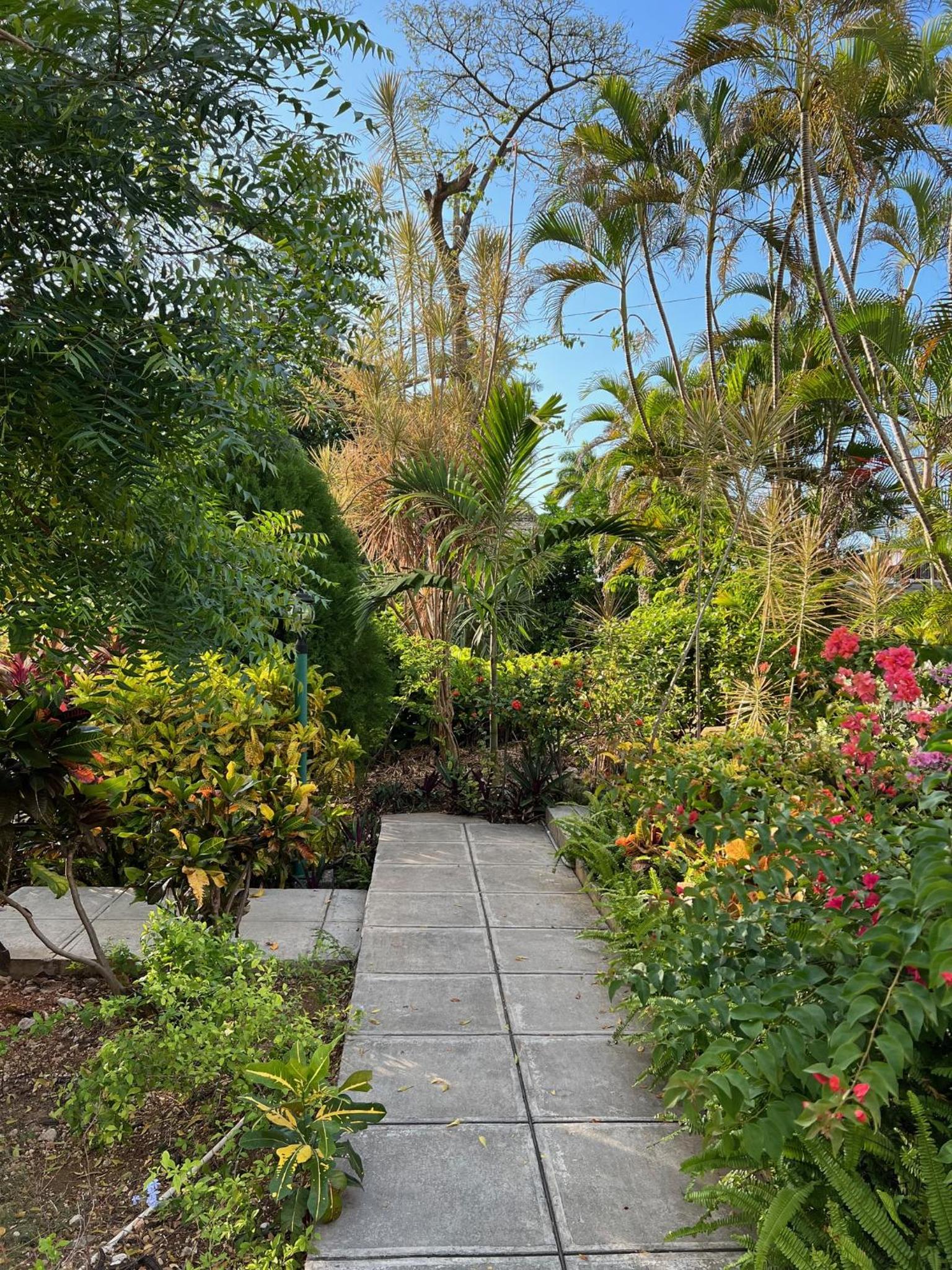 Montego Bay Beach House view 5