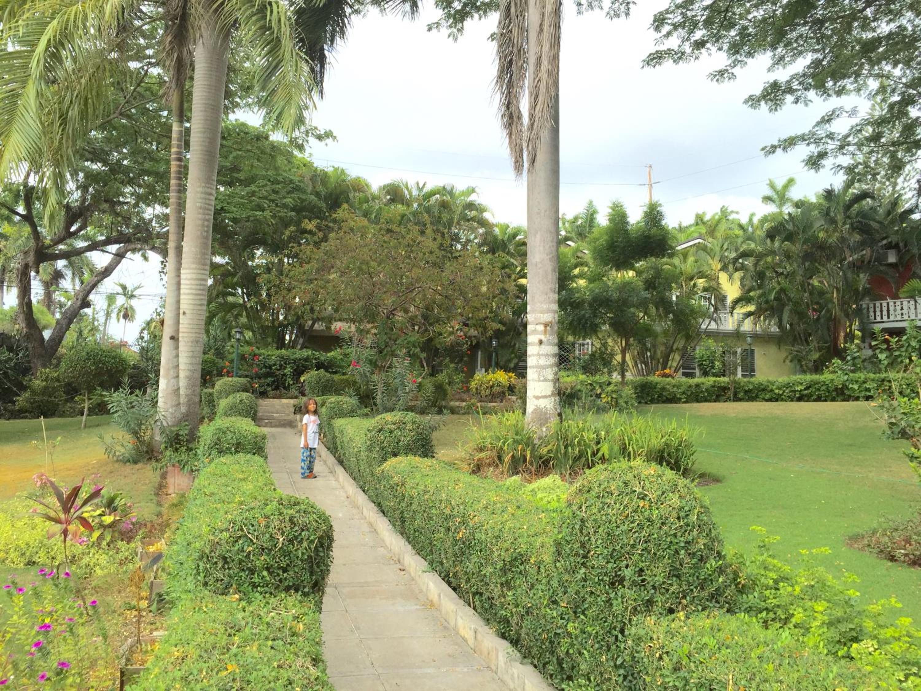 Photo 18