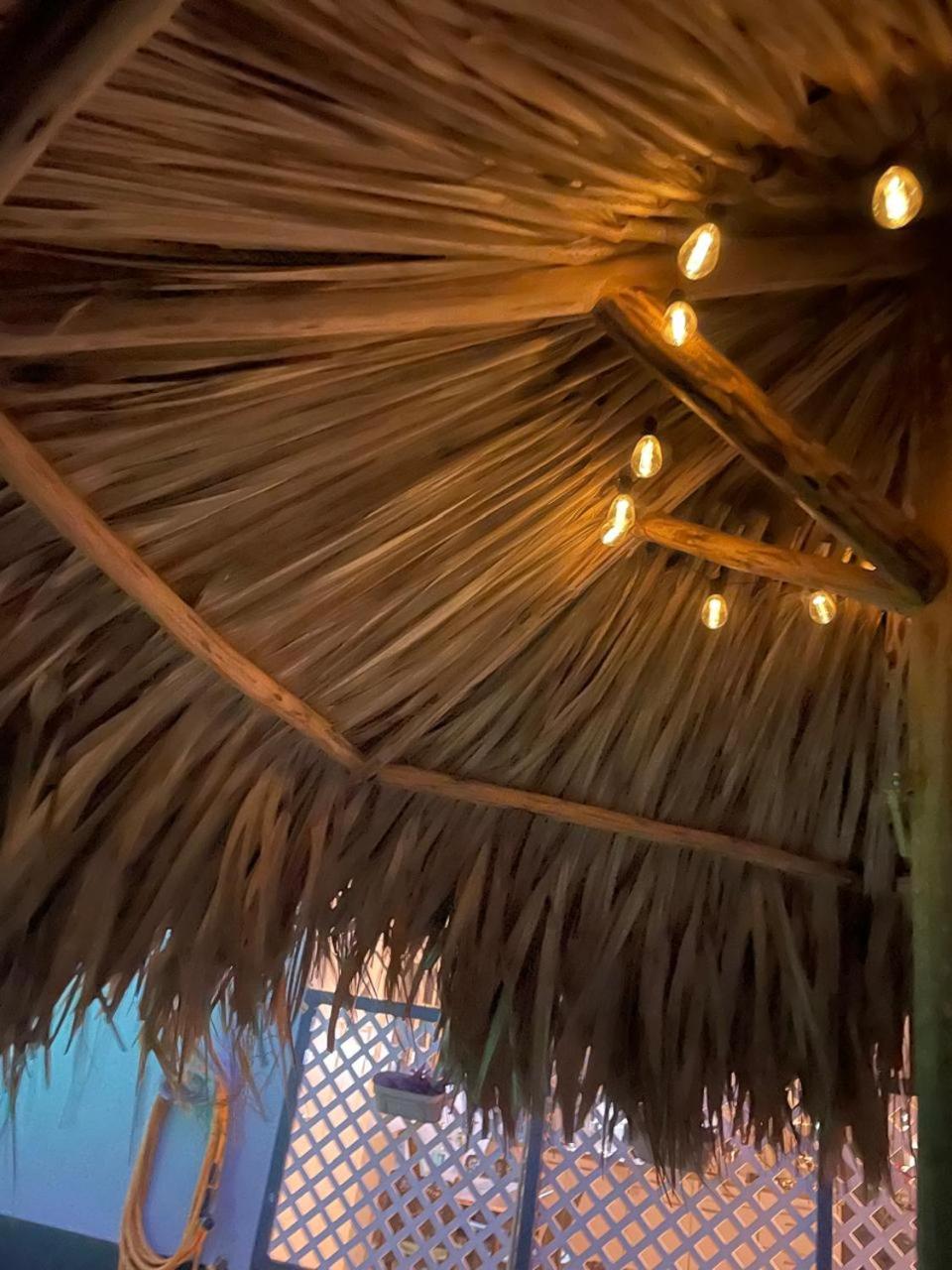 Palmhouse Aruba 1-2 persons