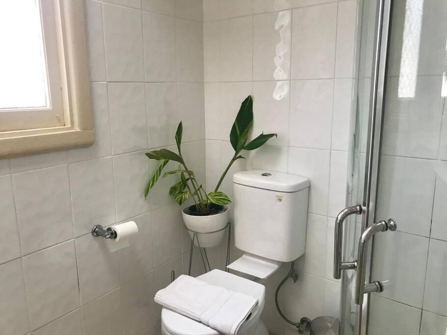 D115 Exquisite Natural Stay