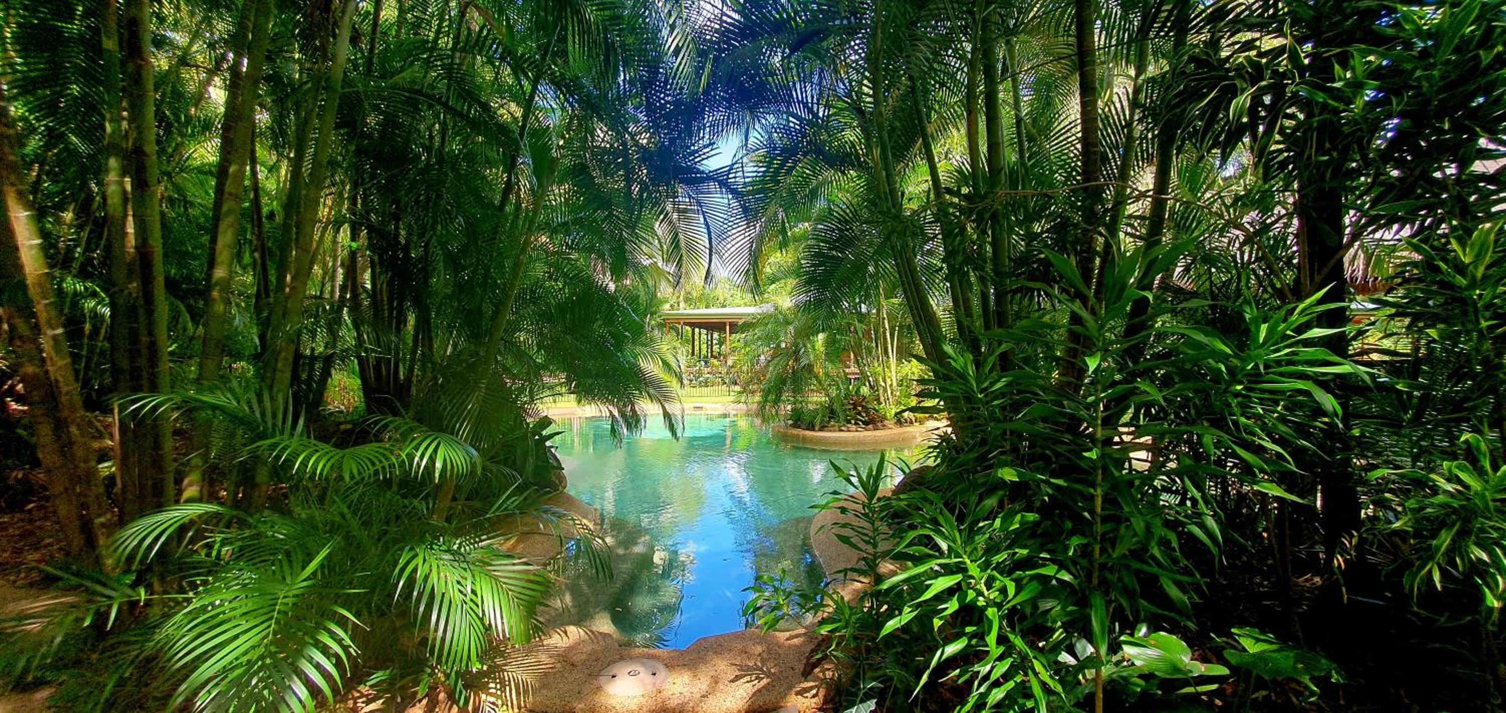 Paperbark Retreat