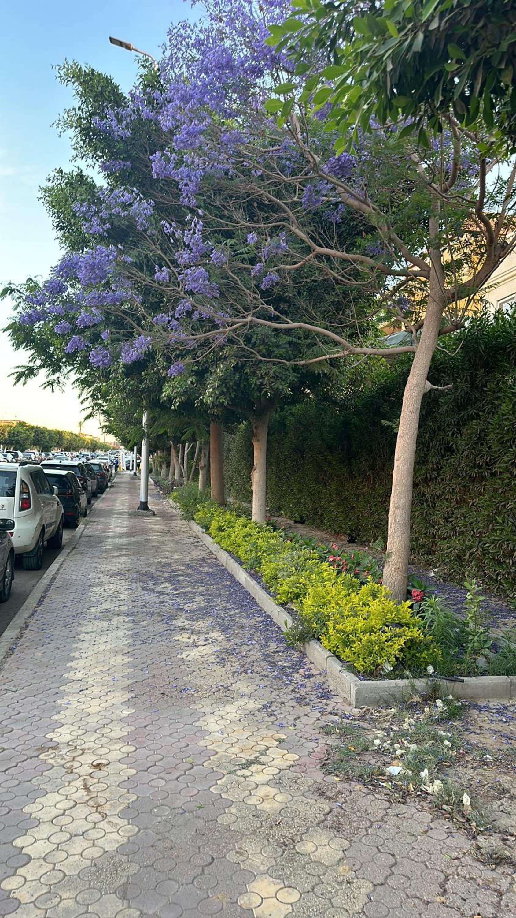 Renovated Spacious Apartment 3 Mins to Al-Rehab