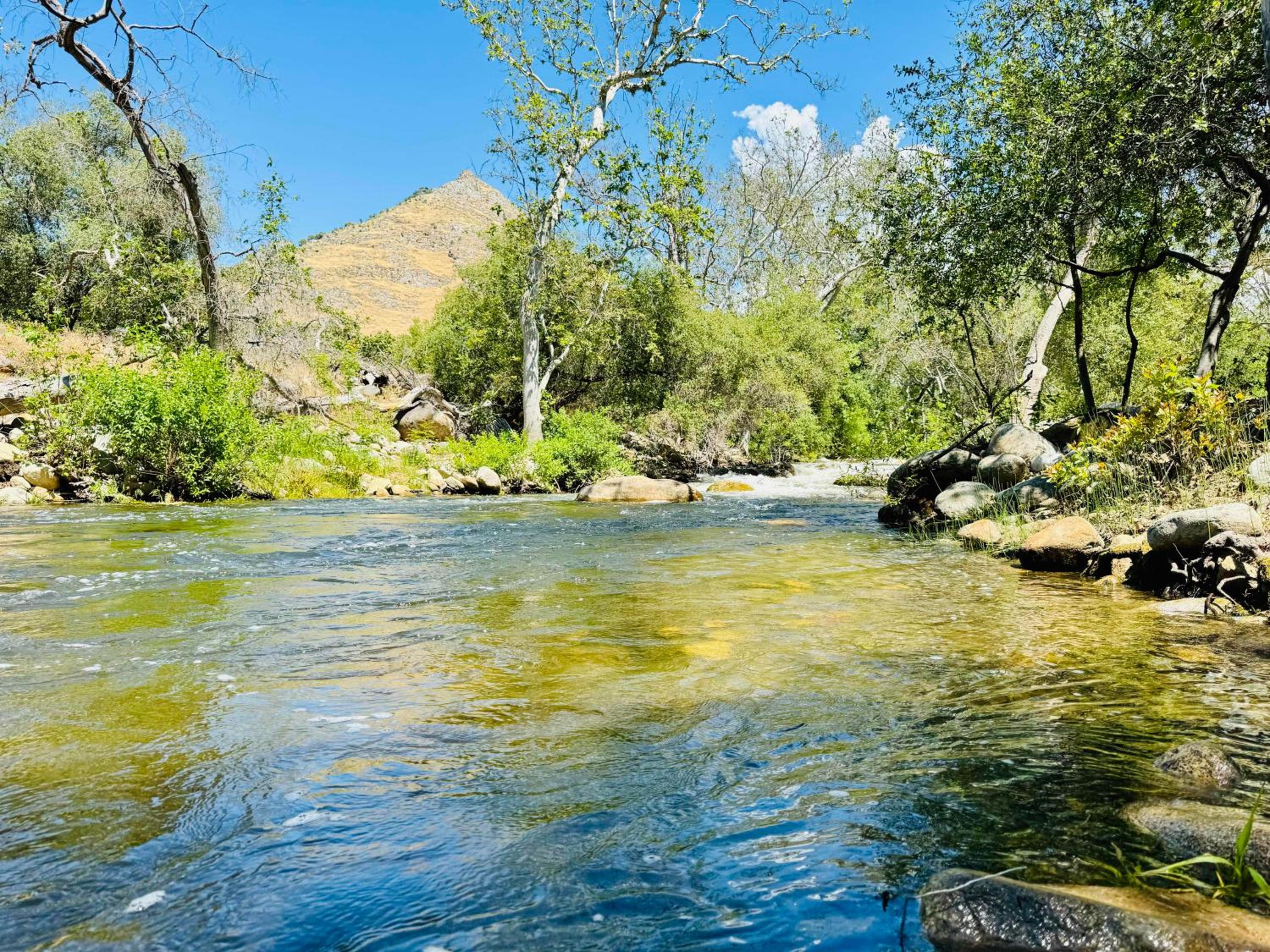 Sequoia Cabin by the River