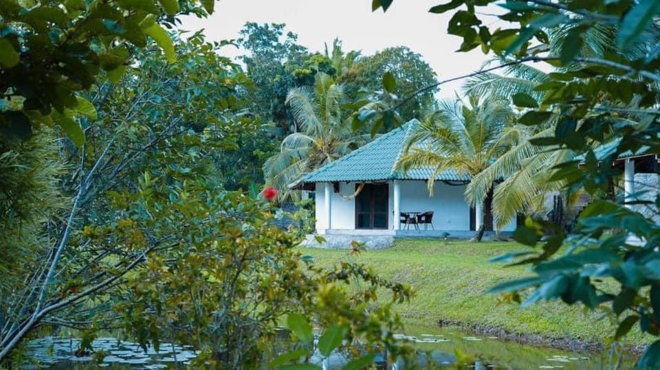 Jungle Heart Cabanas