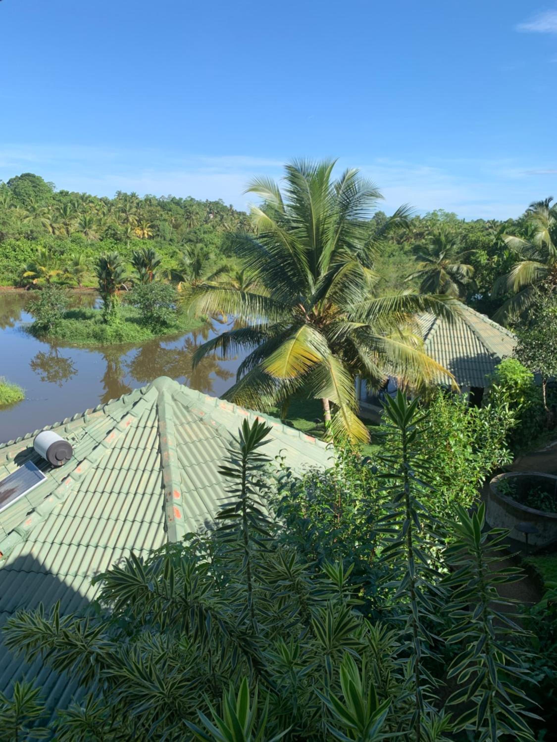 Jungle Heart Cabanas