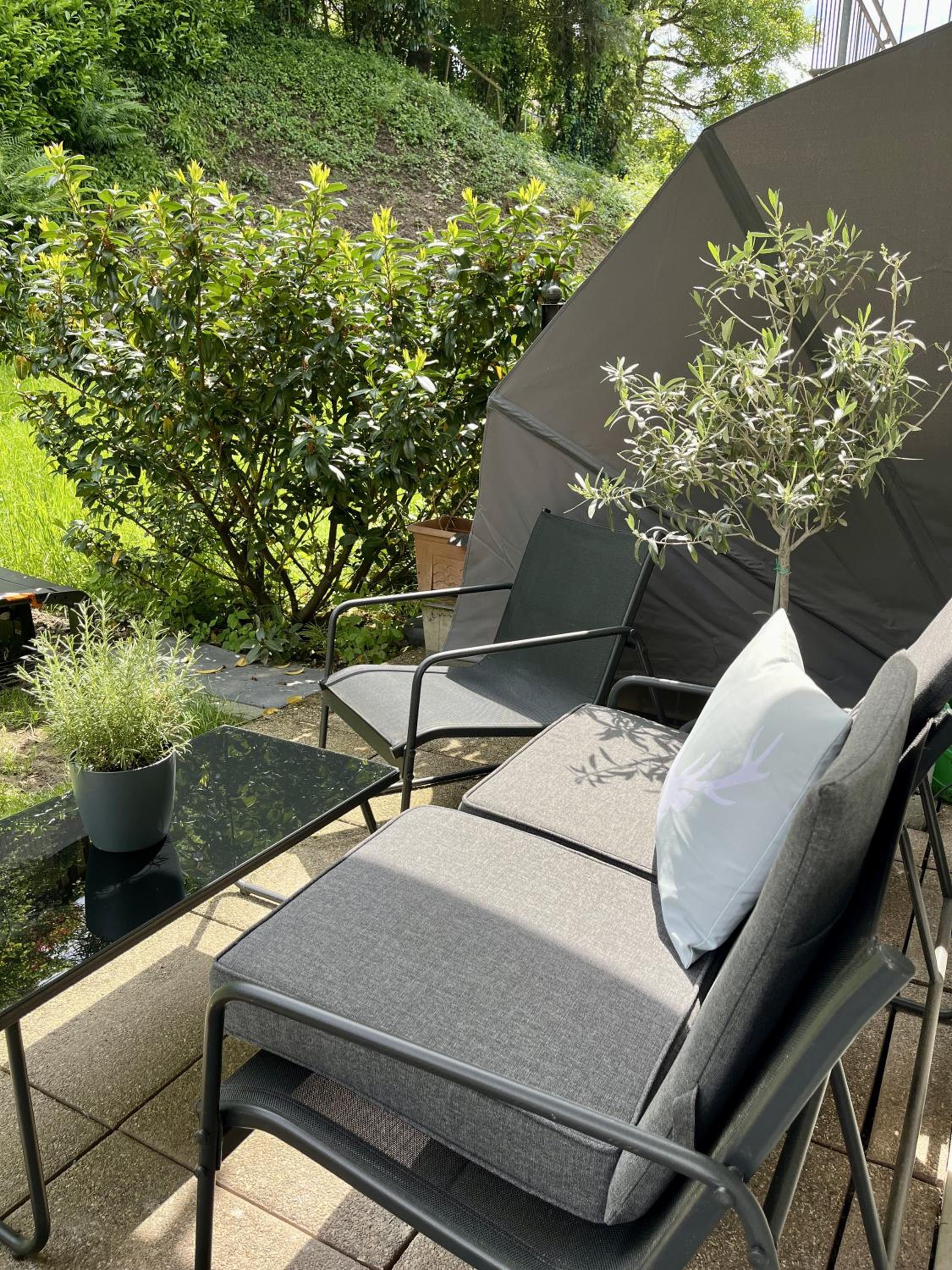 Coucou - Nest im Schwarzwald