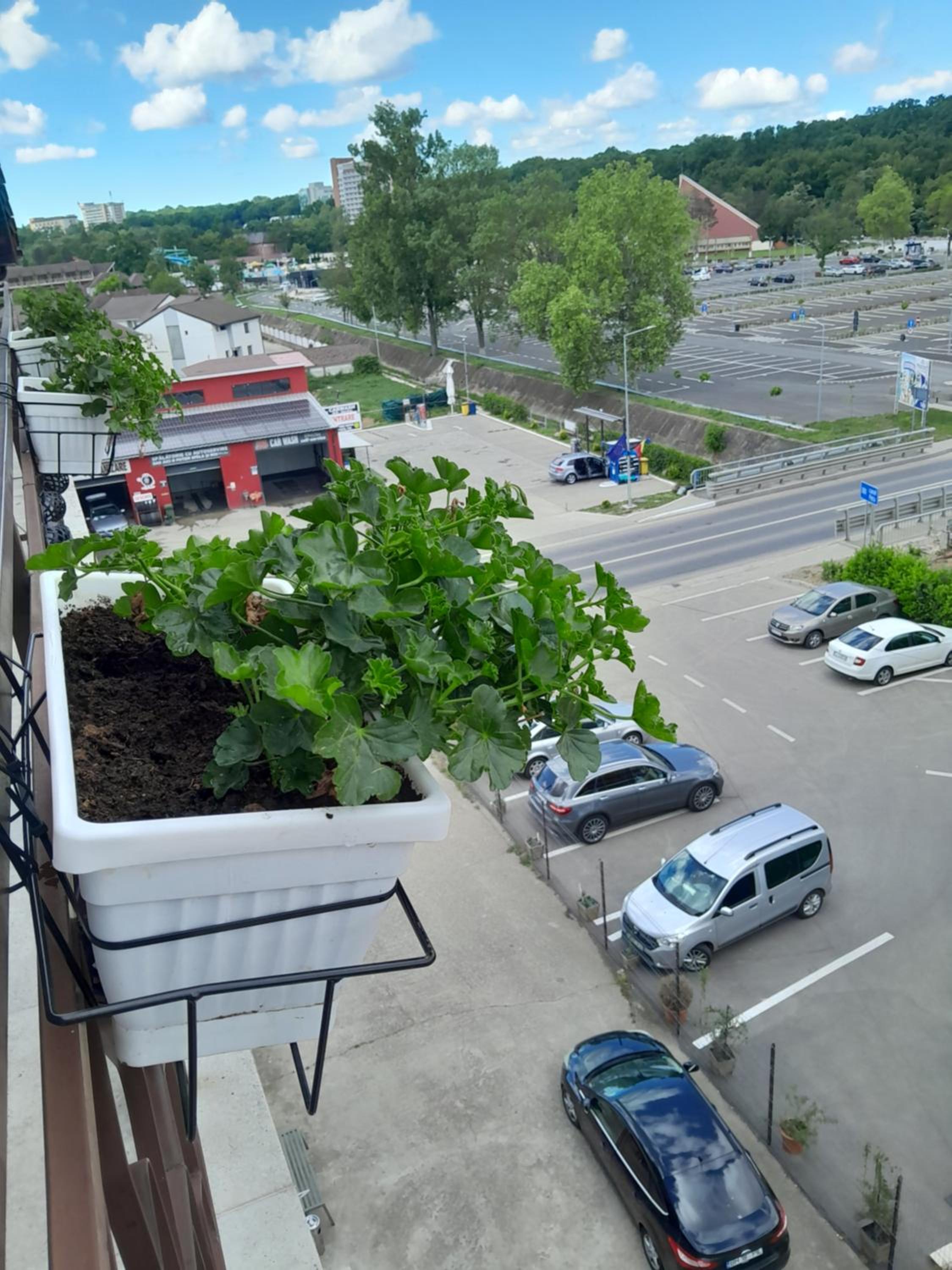 Apartamente9 Aurelia baile felix view 4