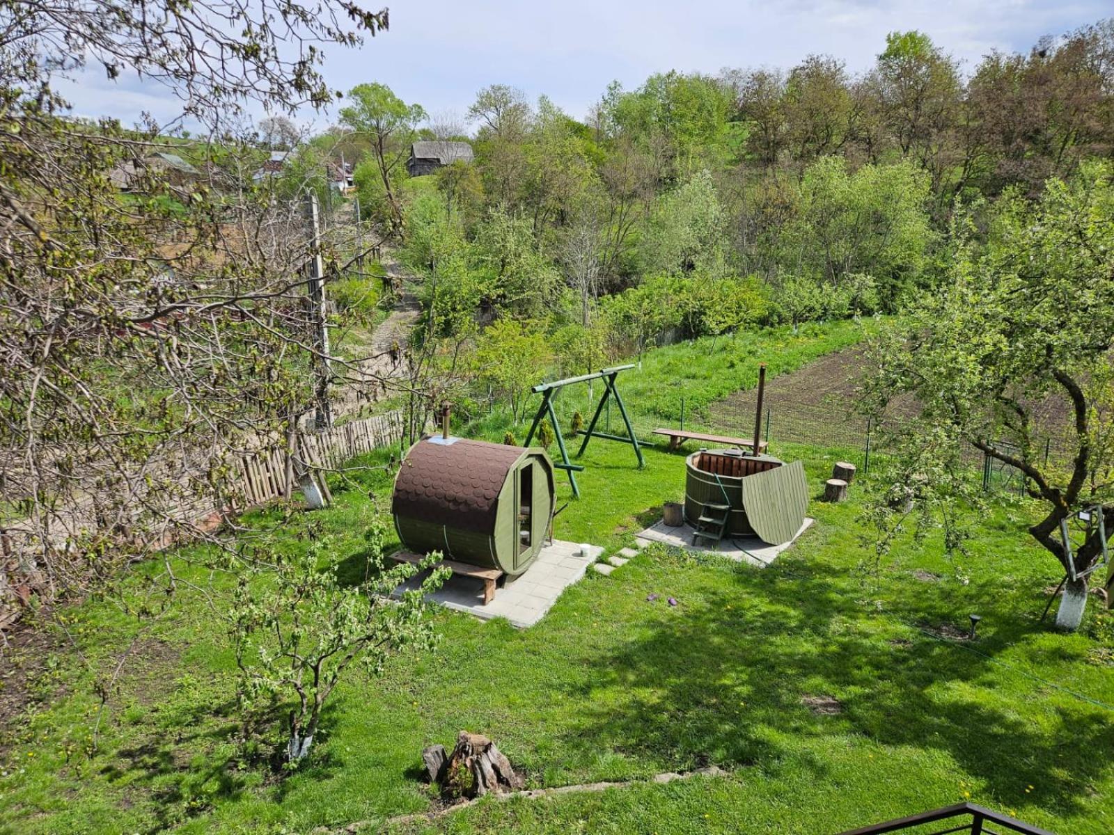 Balada Copilăriei Ciprian Porumbescu view 2