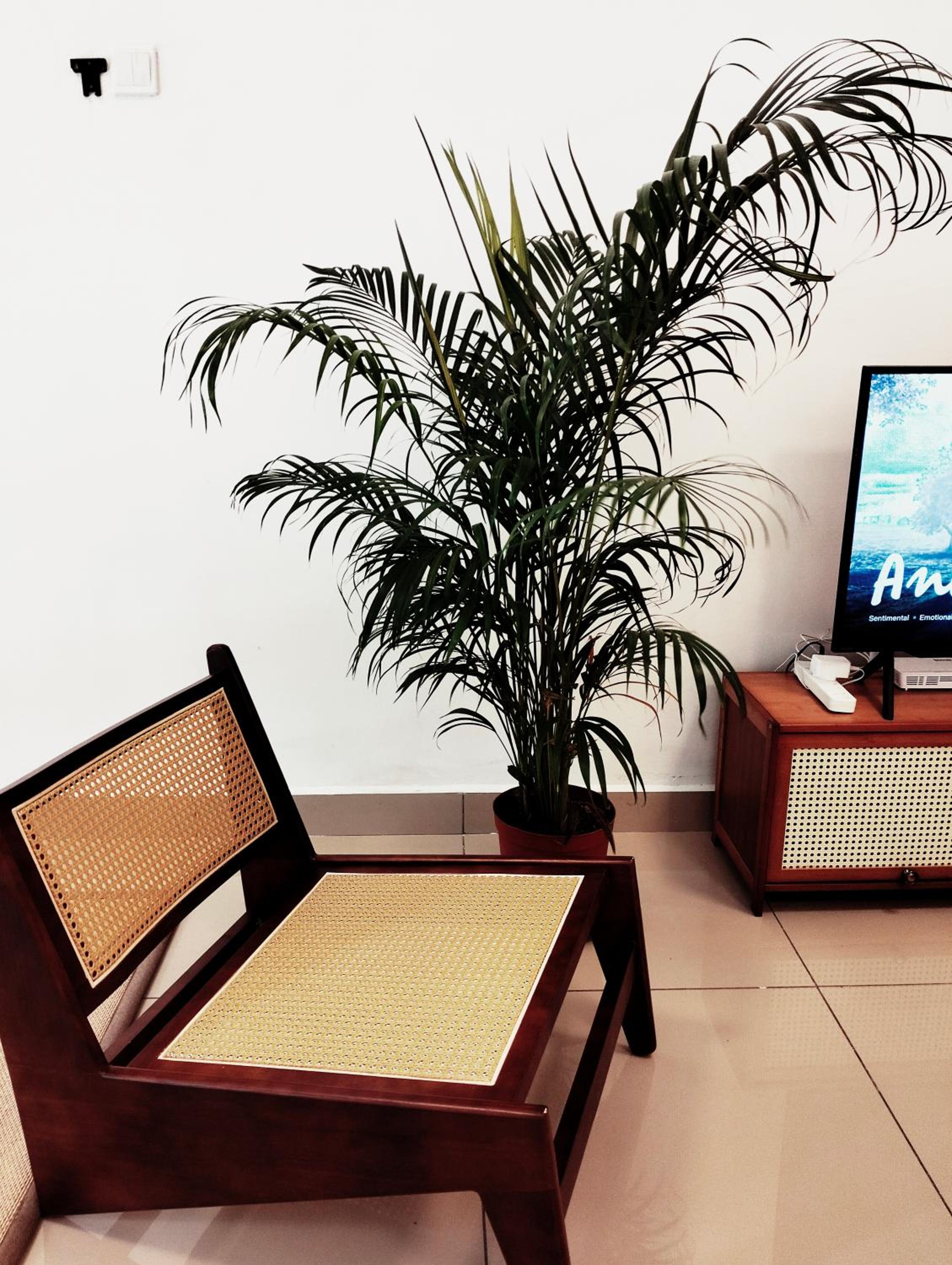 021 NO DEPO Palazio Apt Japanese style Studio Mount Austin Wifi & Netflix