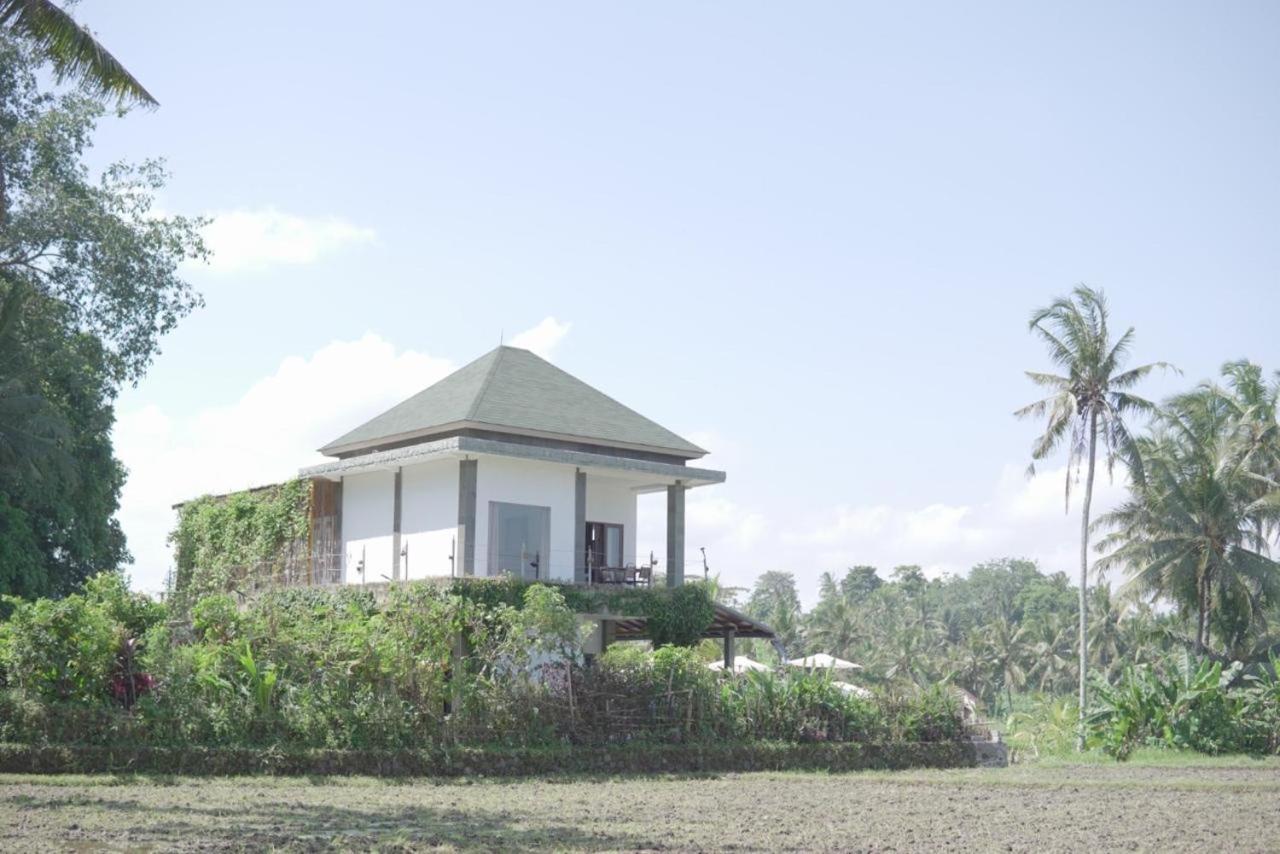 villa aline view 5